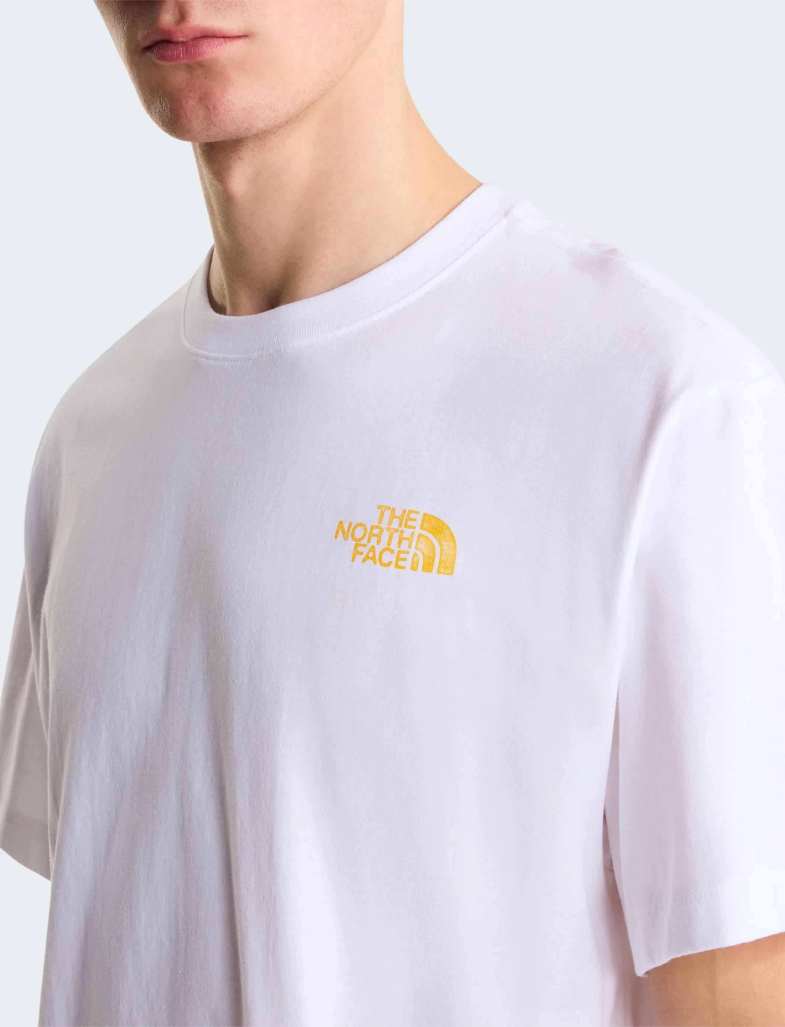 THE NORTH FACE T-shirts med korta ärmar M PITCH A TENT RELAXED SS TEE TNF t-shirts - bas herr – bild 10