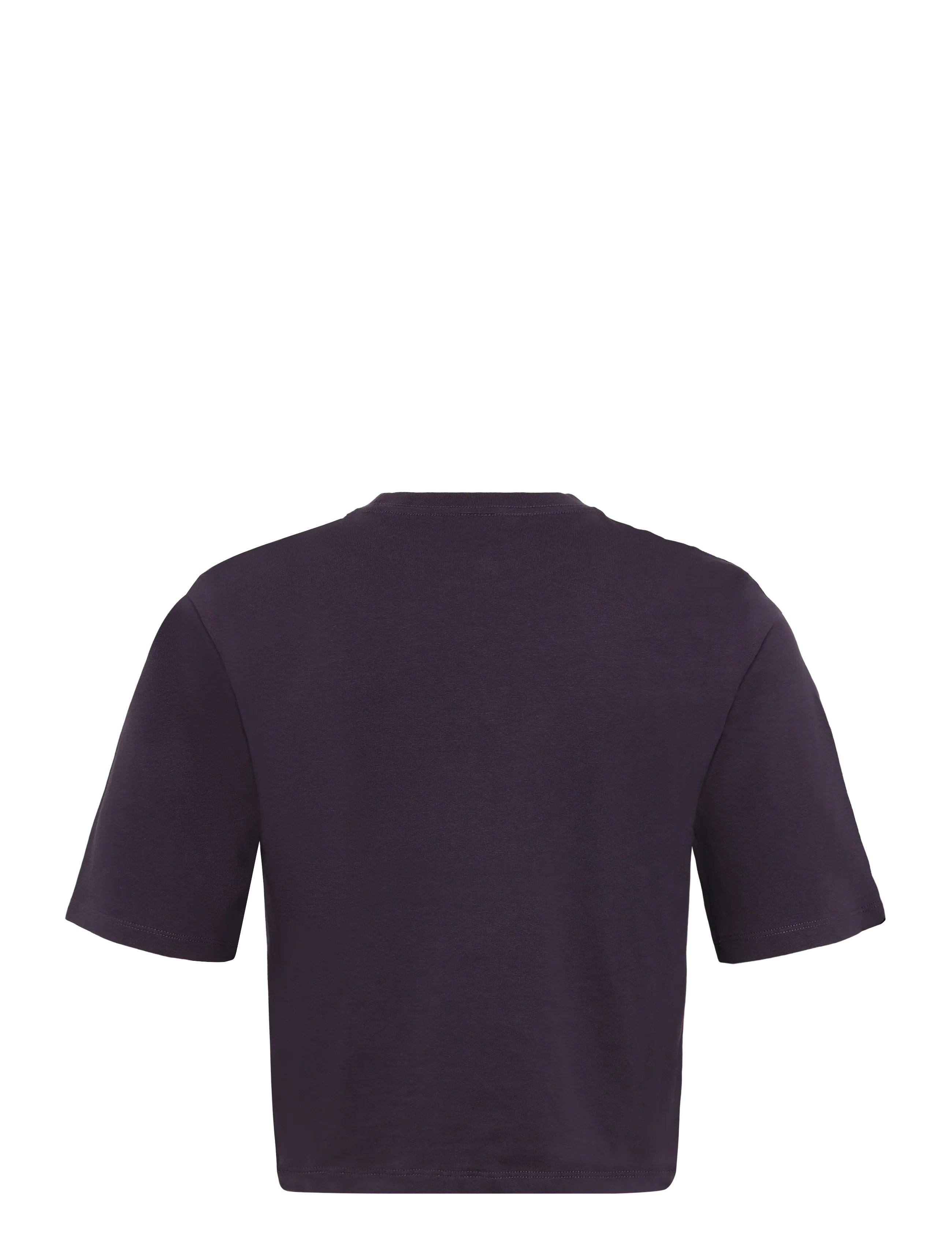 The North Face - W TNF ESSENTIAL SIMPLE DOME BOXY RLX SS - alussärgid ja t-särgid - endless dusk - 2