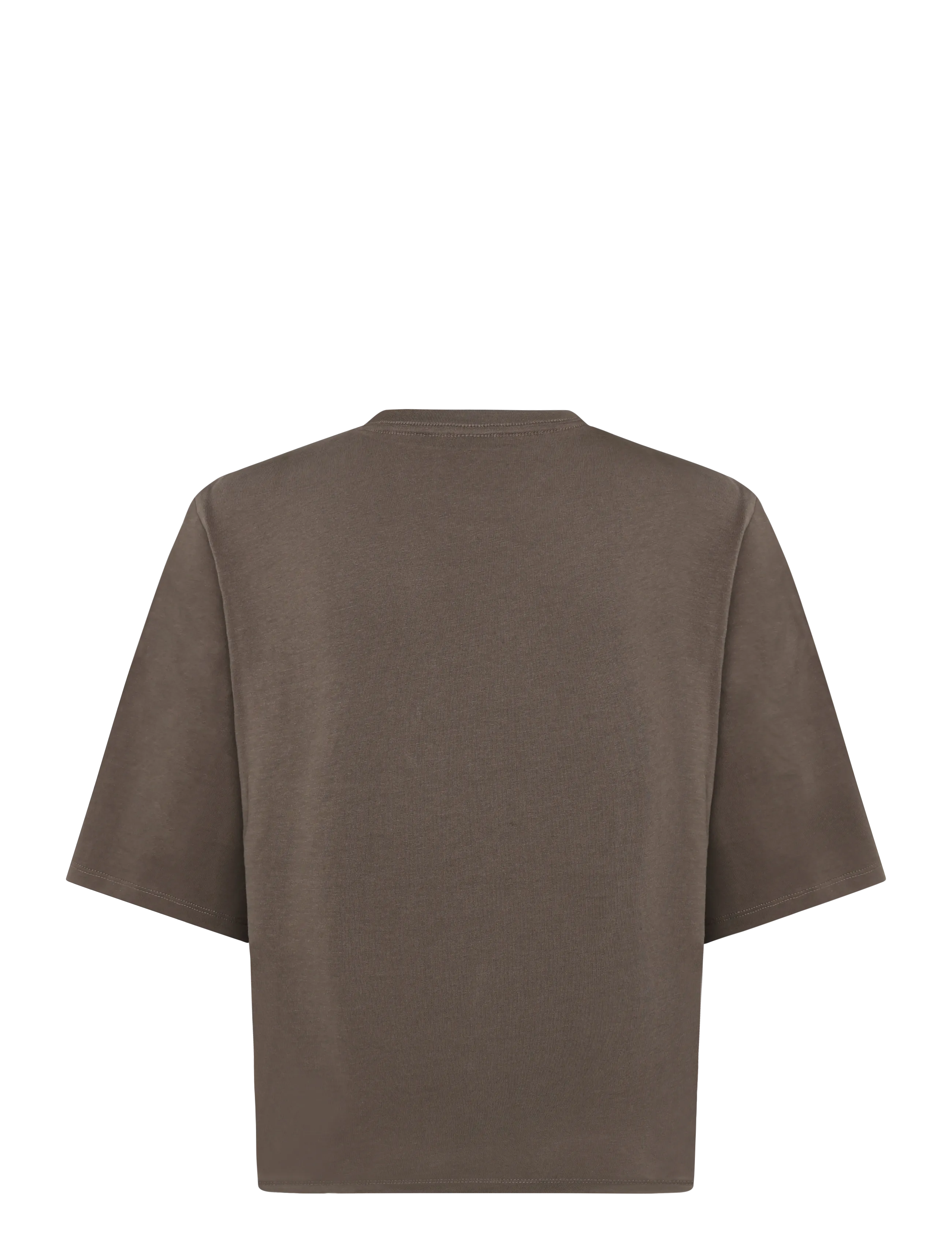 The North Face - W TNF ESSENTIAL SIMPLE DOME BOXY RLX SS - oberteile & t-shirts - smokey brown - 2
