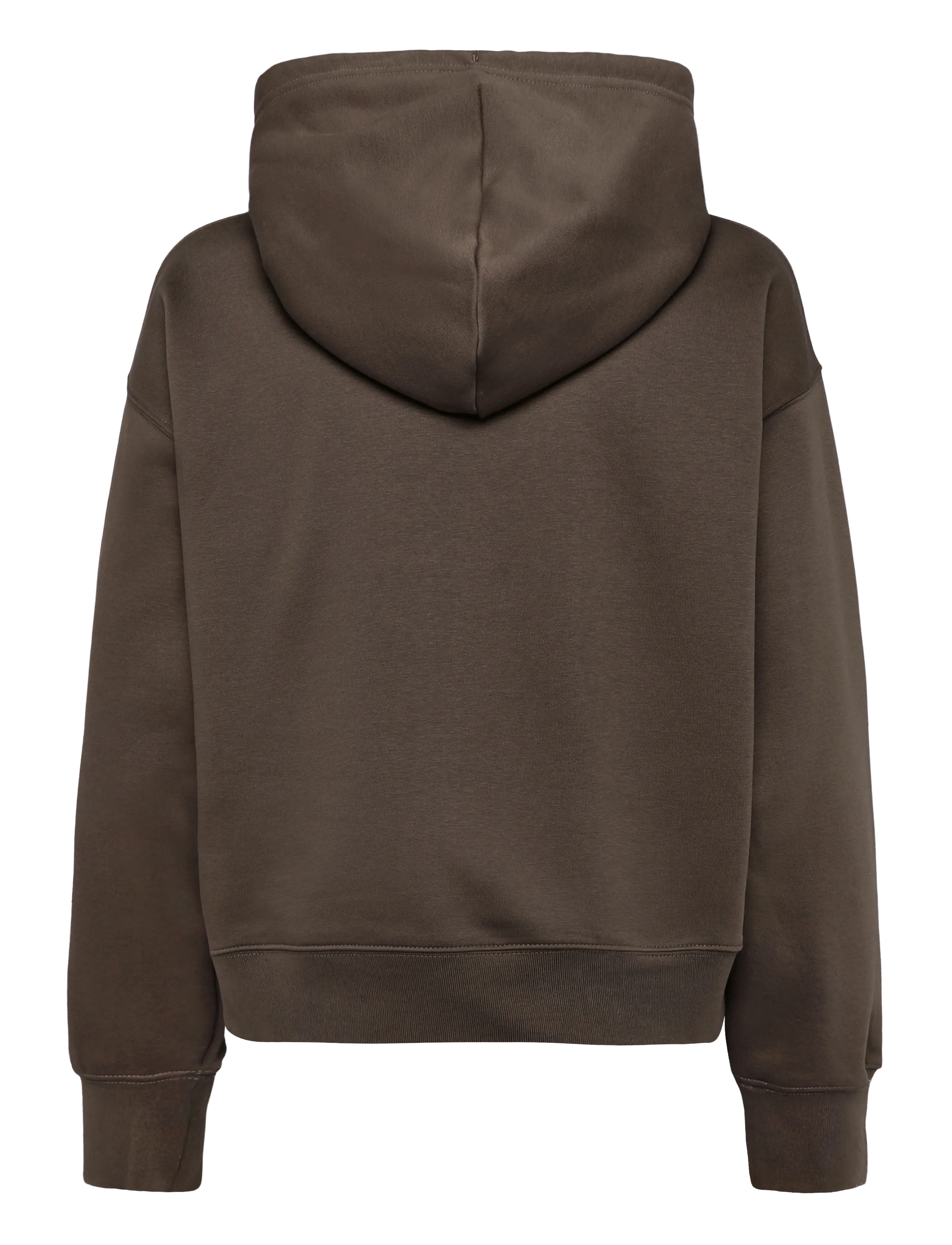 The North Face - W TNF ESSENTIAL SIMPLE DOME BOXY OS HOOD - kapuutsiga dressipluusid - smokey brown - 2