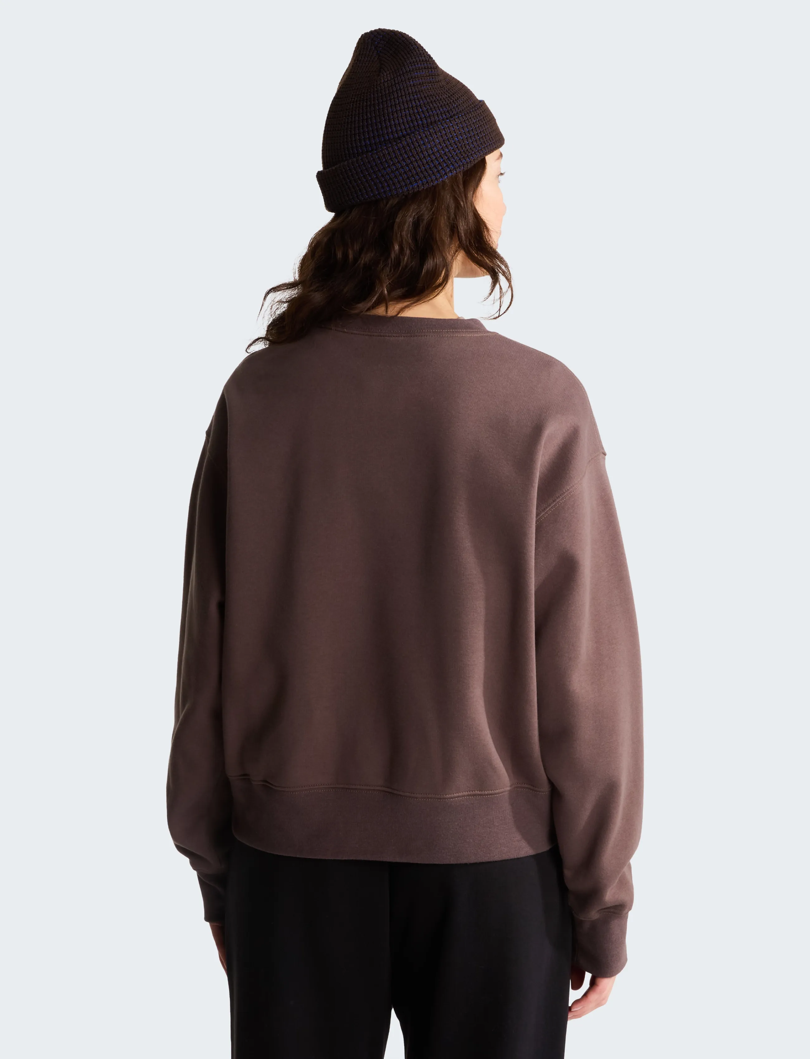 The North Face - W TNF ESSENTIAL SIMPLE DOME BOXY OS CREW - sweatshirts - smokey brown - 5