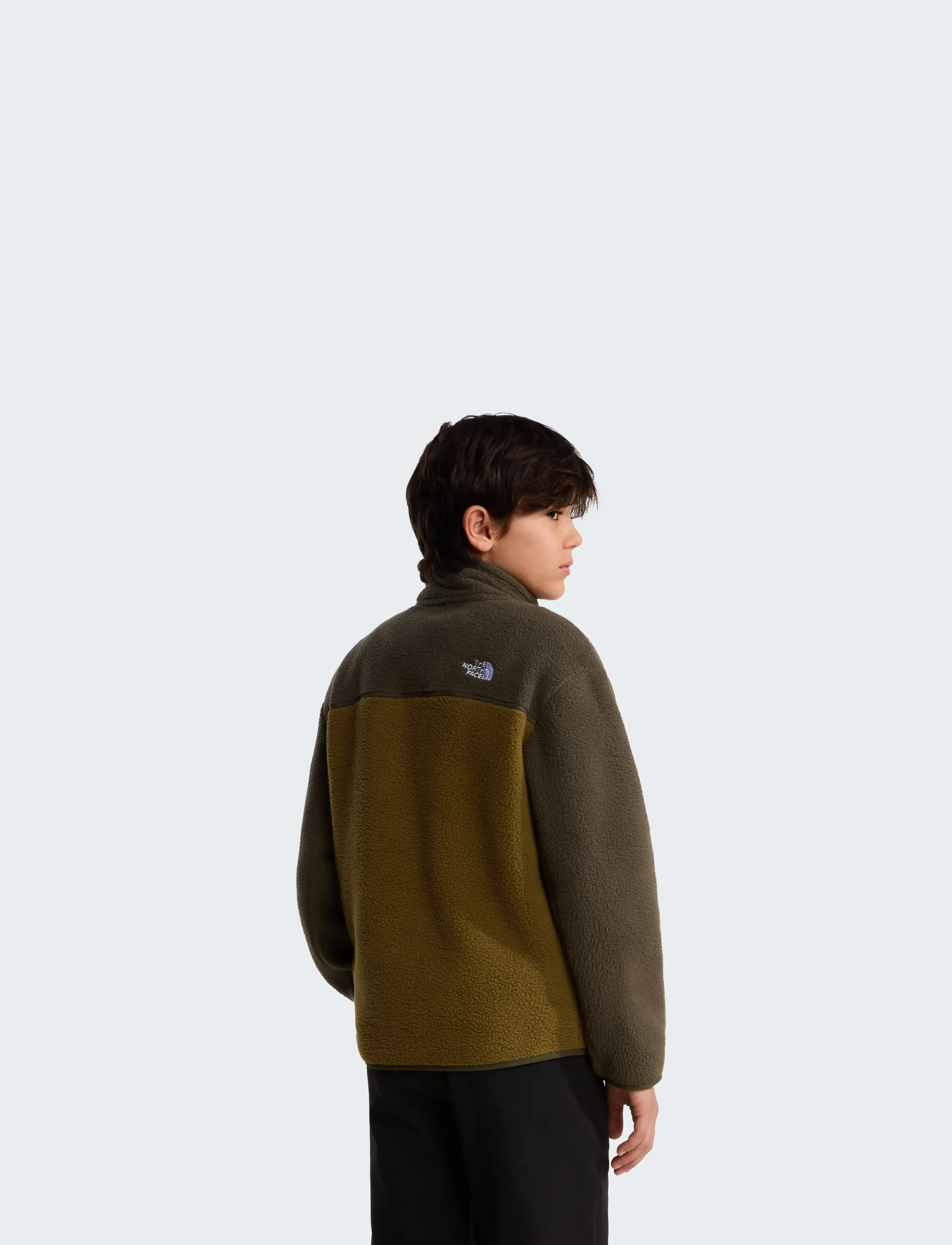 The North Face - TEEN YUMIORI 1/4 ZIP JACKET - paksud joped - caraway seed/new taupe - 5