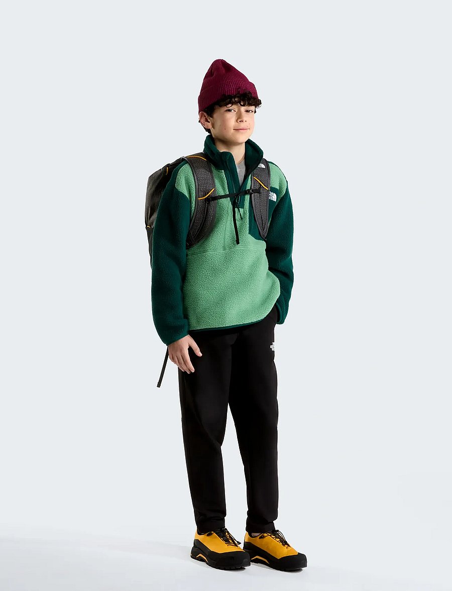 The North Face - TEEN YUMIORI 1/4 ZIP JACKET - fleecejacke - dimmed algae/hunter gre - 3