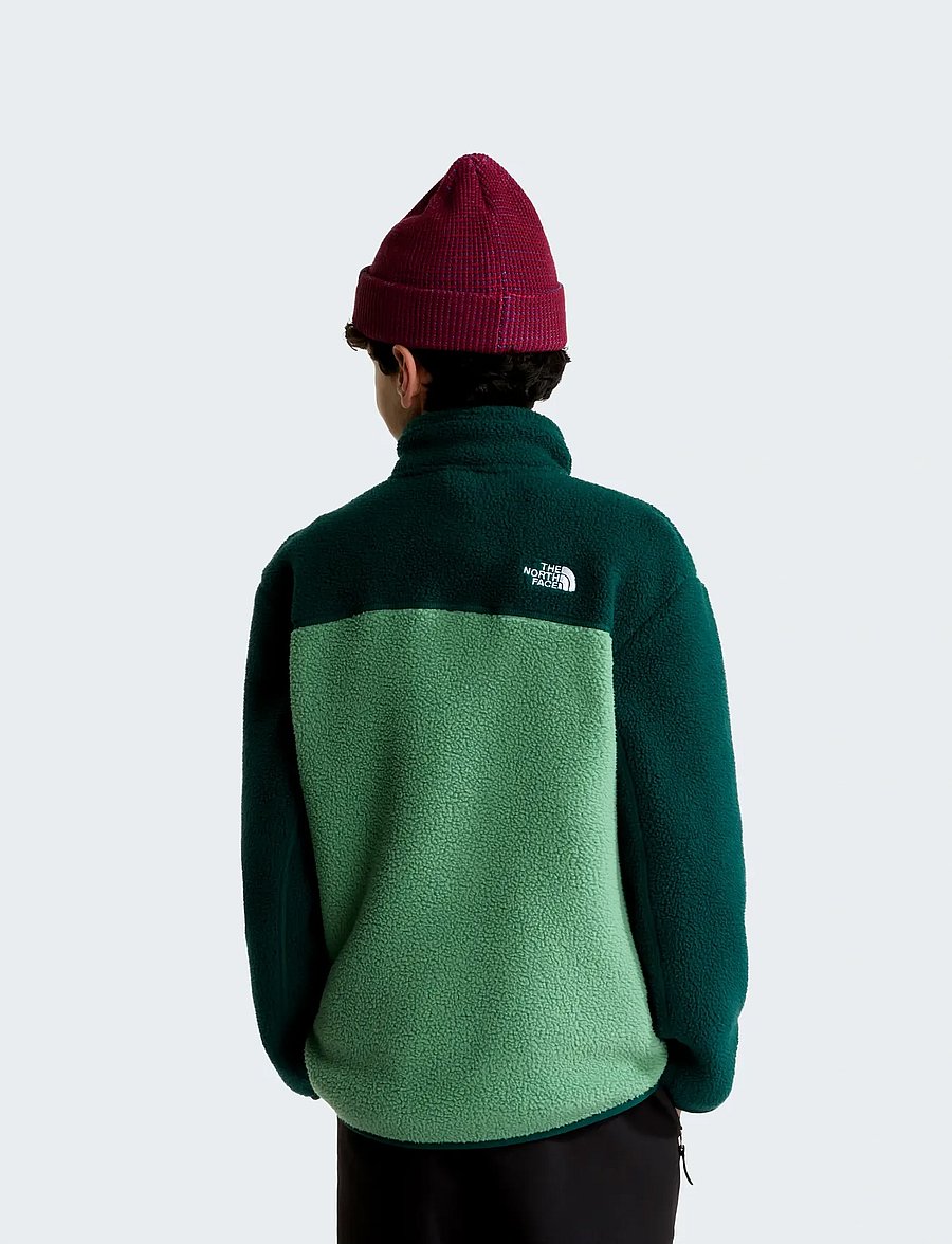 The North Face - TEEN YUMIORI 1/4 ZIP JACKET - fleecejacke - dimmed algae/hunter gre - 5