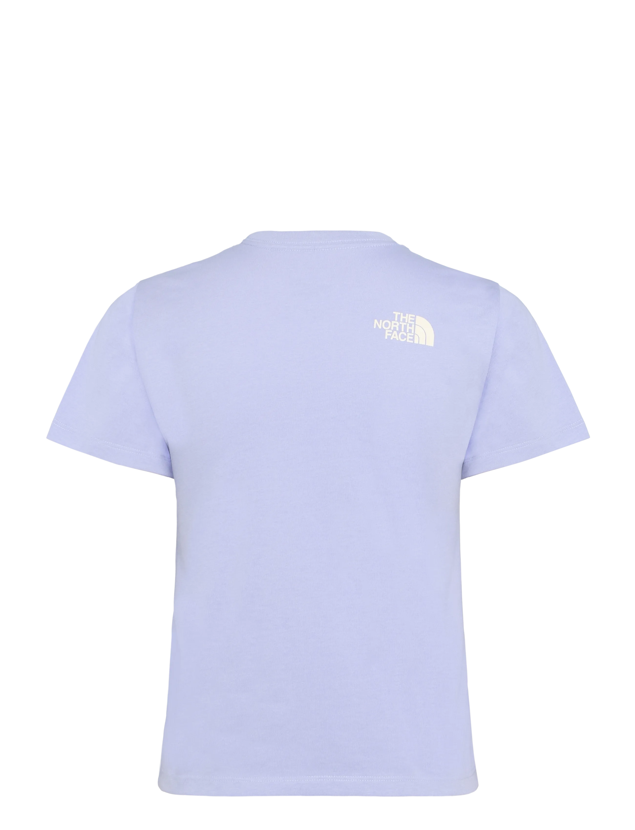 The North Face - TEEN G BRAND PROUD RELAXED SS TEE - GRA - pale plum - 2