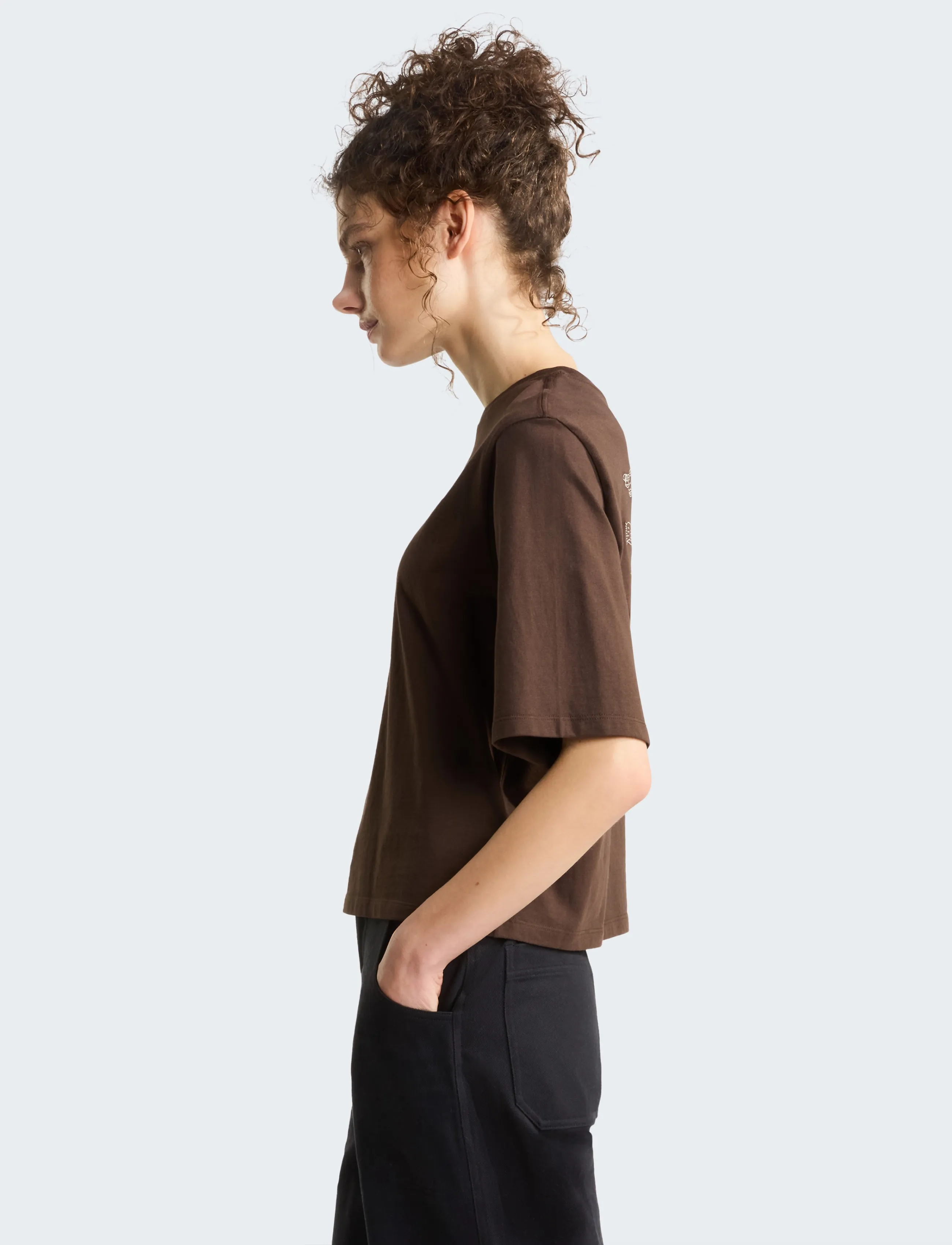 The North Face - W HIKE PICNIC BOXY SS TEE-GRAPHIC - t-shirts - dark chestnut - 5