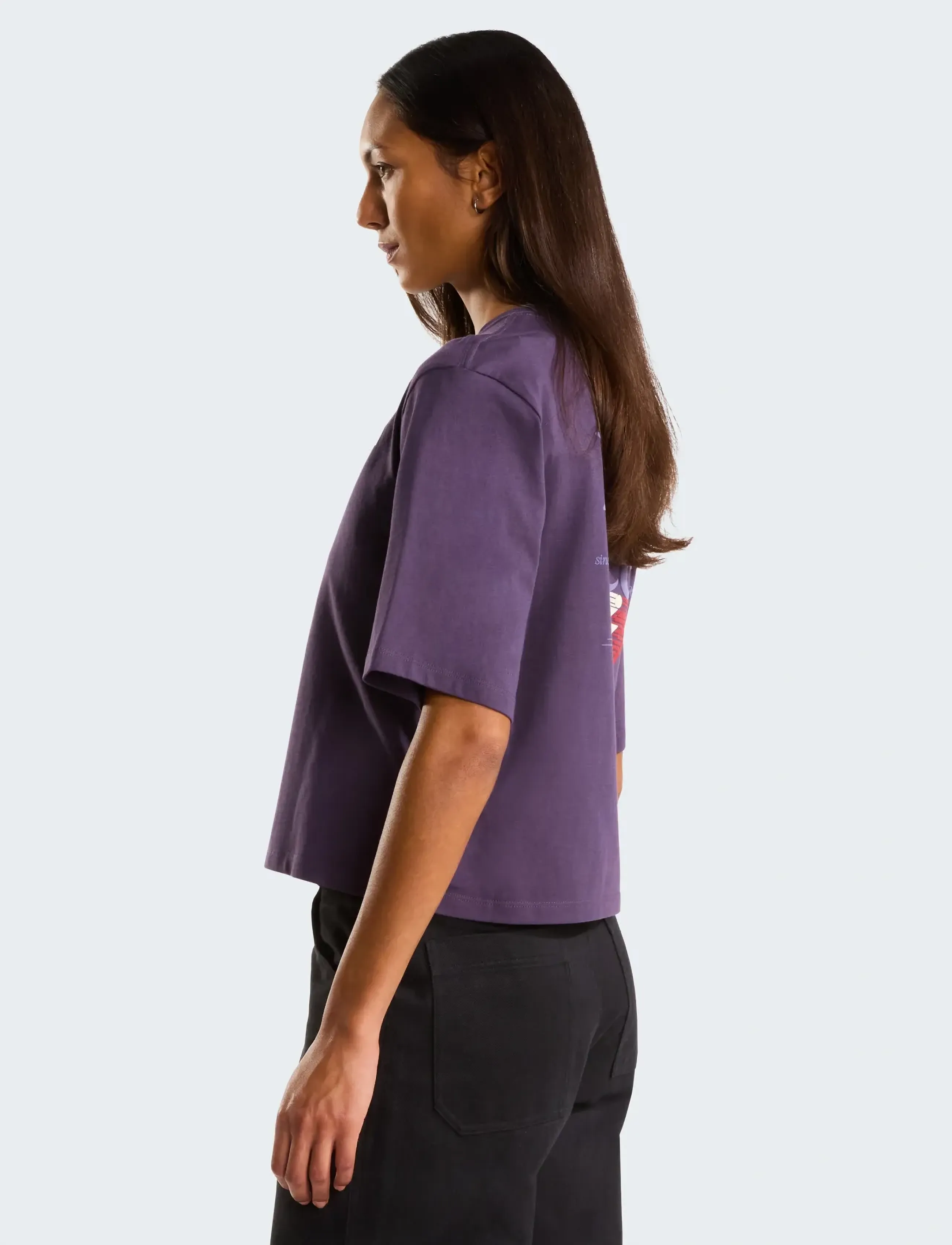 The North Face - W RETRO TRAIL BOXY SS TEE-GRAPHIC - t-shirts - endless dusk - 5