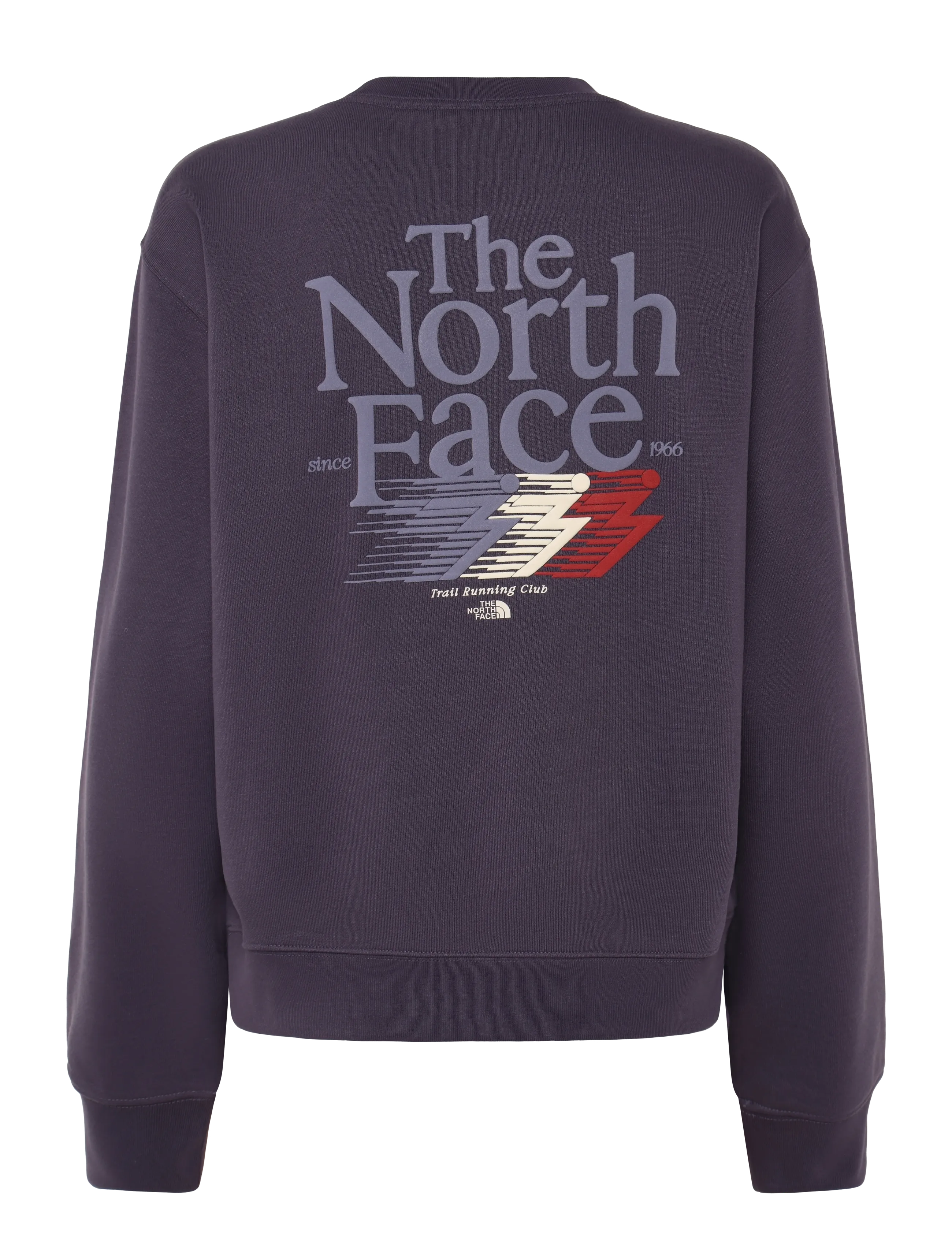 The North Face - W RETRO TRAIL RELAXED CREW- GRAPHIC - tops - endless dusk - 2