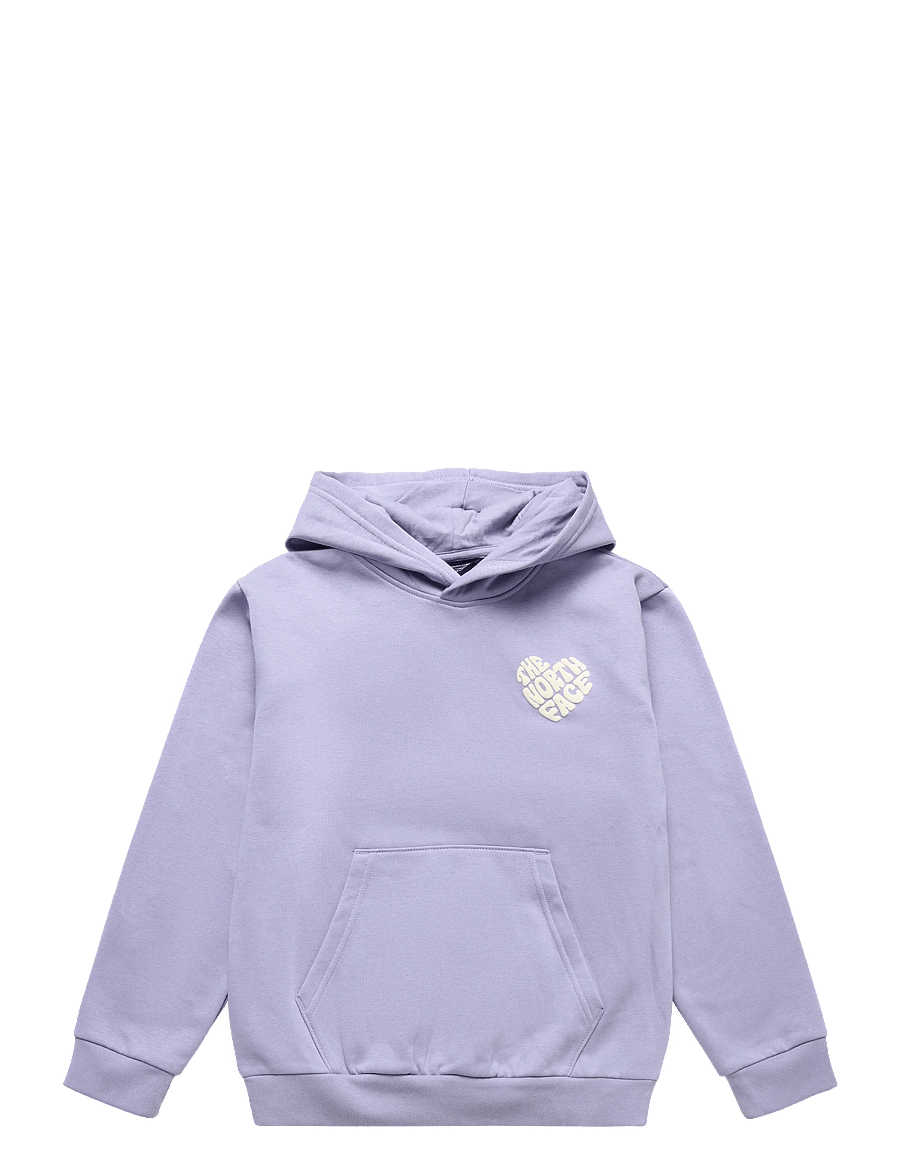 The North Face - TEEN G BRAND PROUD RELAXED HOODIE - GRA - huvtröjor - pale plum - 1
