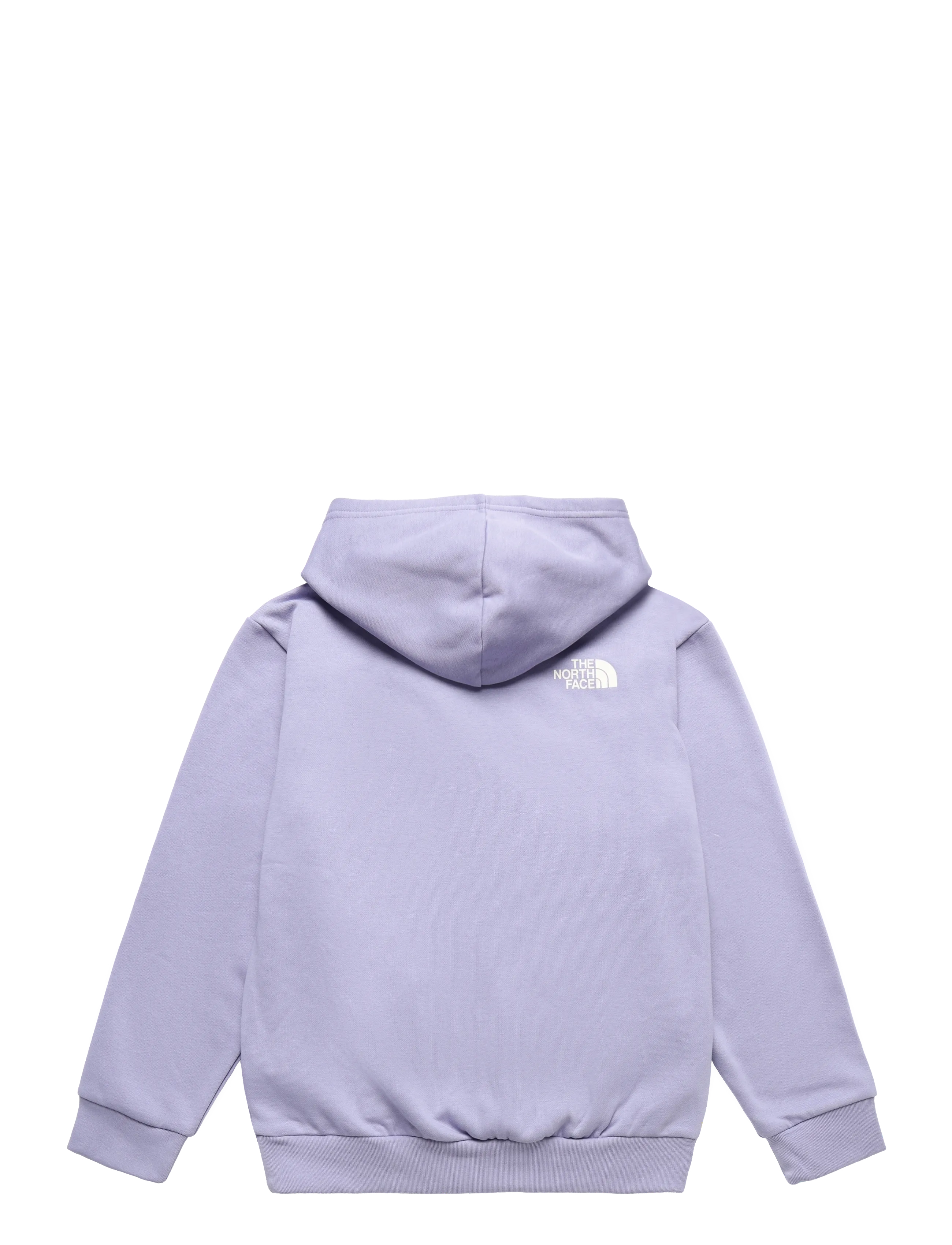 The North Face - TEEN G BRAND PROUD RELAXED HOODIE - GRA - huvtröjor - pale plum - 2