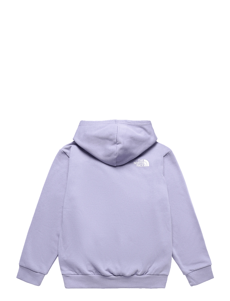 The North Face - TEEN G BRAND PROUD RELAXED HOODIE - GRA - huvtröjor - pale plum - 2