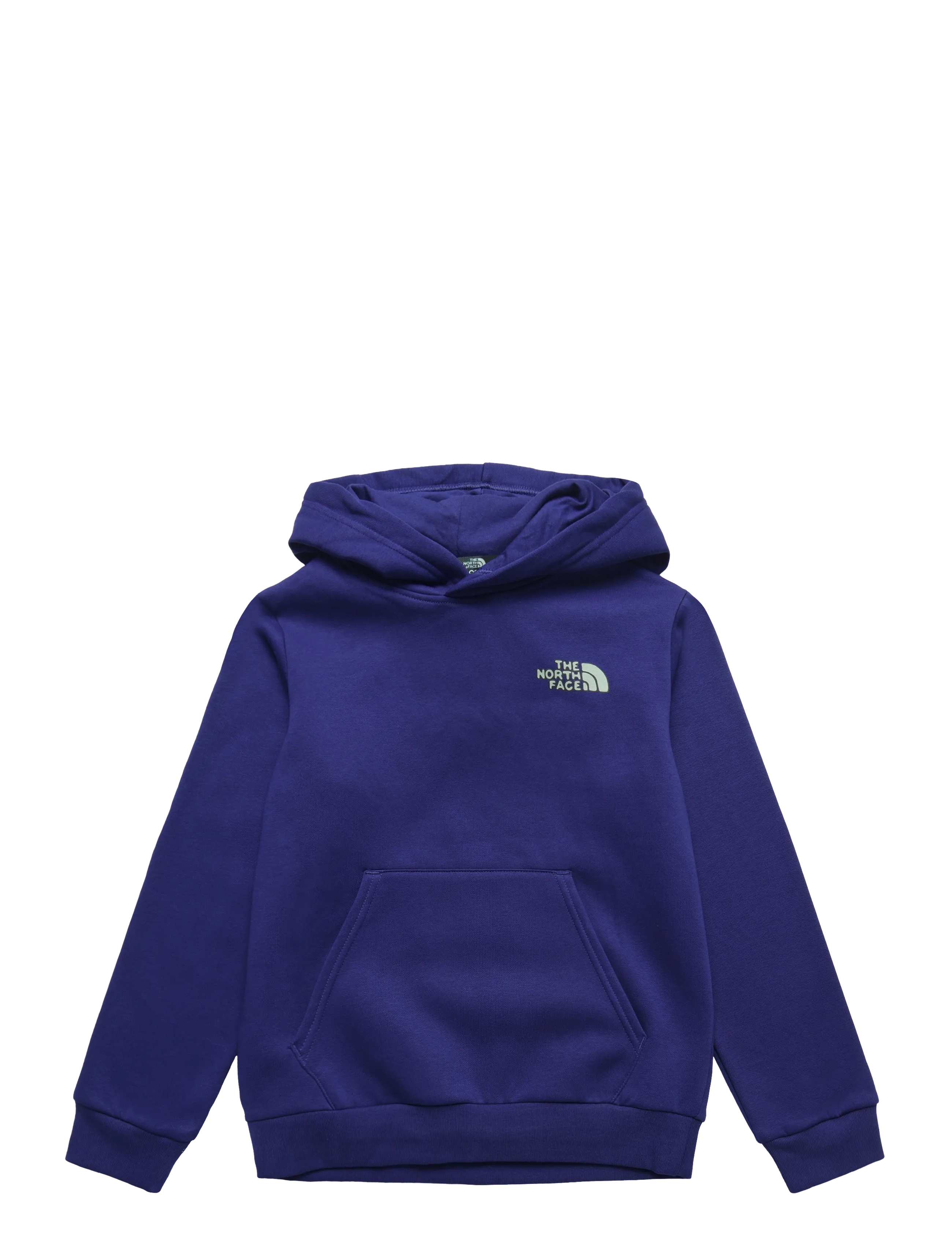 The North Face TEEN B OUTDOOR REGULAR HOODIE - GRAPHIC - Sweatshirts & Kapuzenpullover - BOLD BLUE / blue