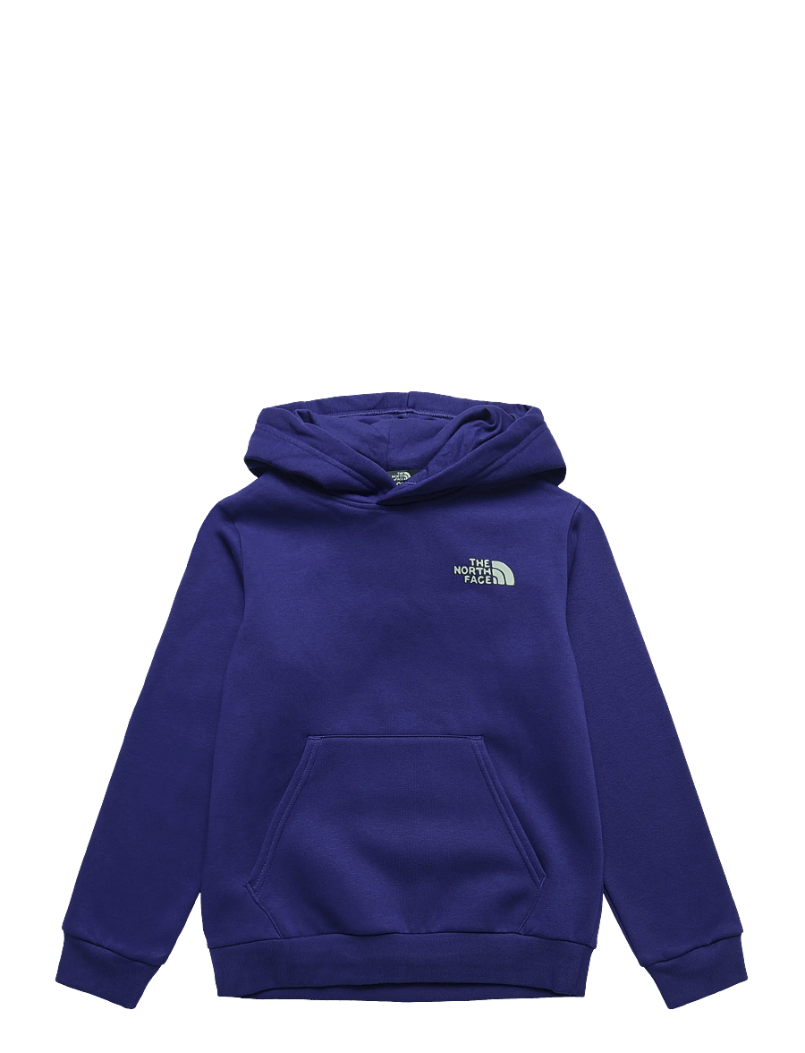 The North Face - TEEN B OUTDOOR REGULAR HOODIE - GRAPHIC - kapuutsiga dressipluusid - bold blue - 1