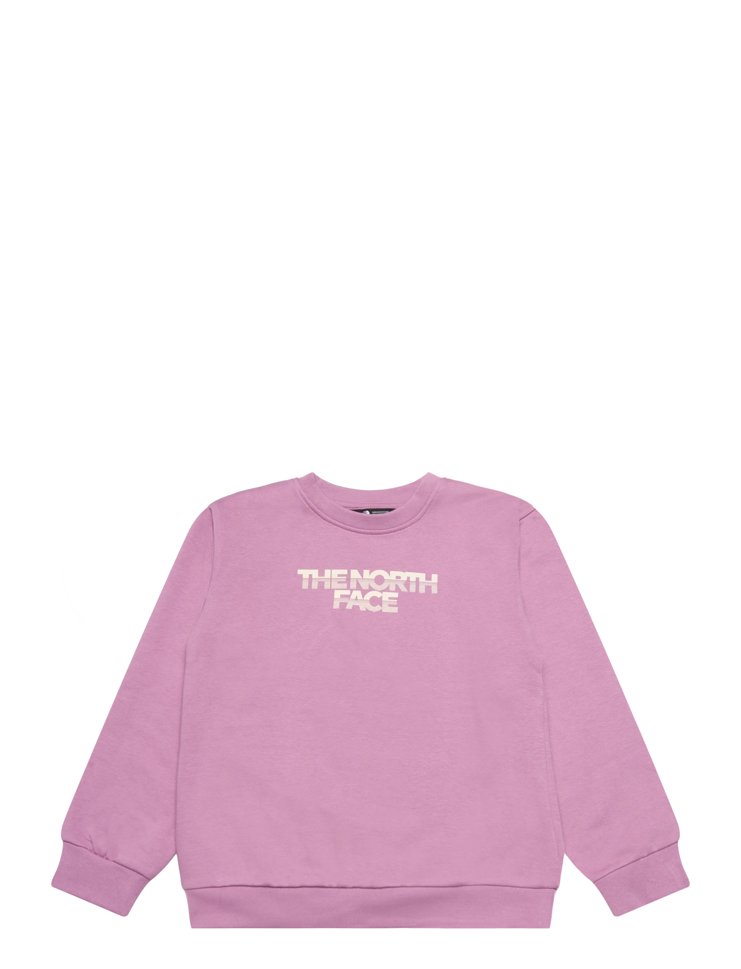 The North Face TEEN G CHALBI RELAXED CREW - GRAPHIC - Kleidung - HUSHED LAVENDER / purple