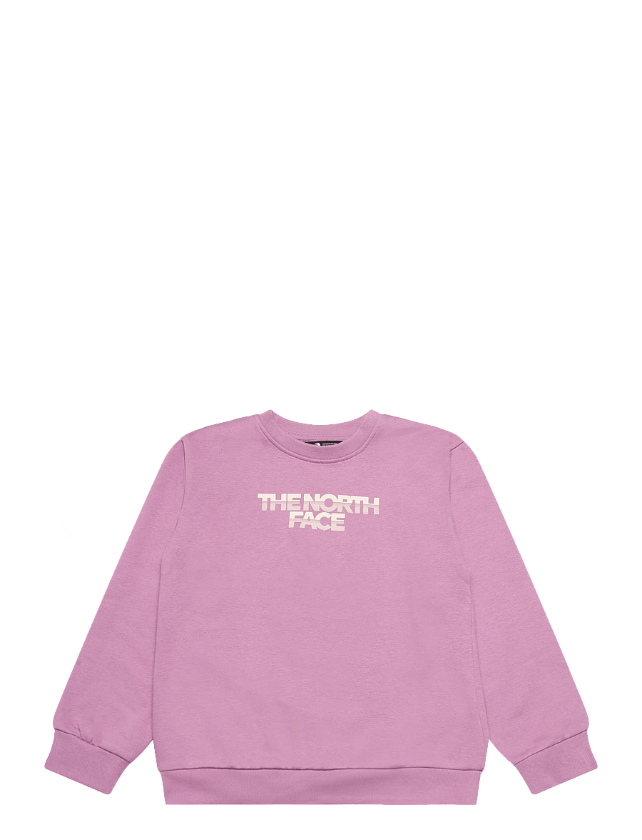 The North Face - TEEN G CHALBI RELAXED CREW - GRAPHIC - dressipluusid - hushed lavender - 1
