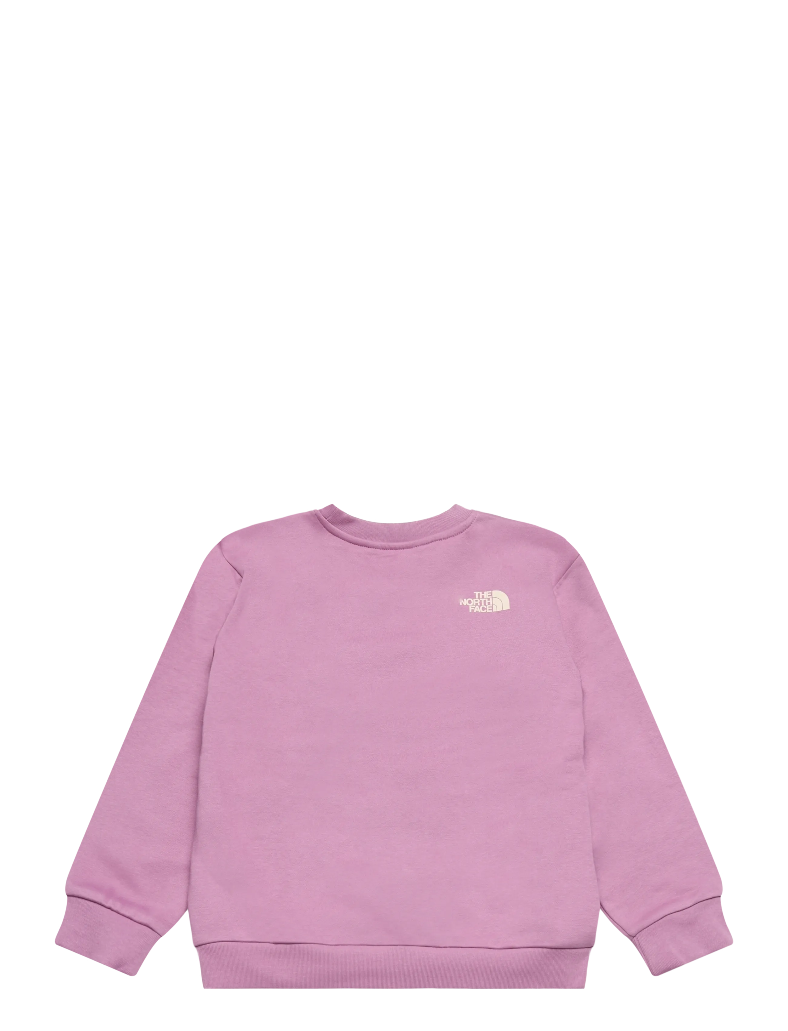The North Face - TEEN G CHALBI RELAXED CREW - GRAPHIC - hushed lavender - 2