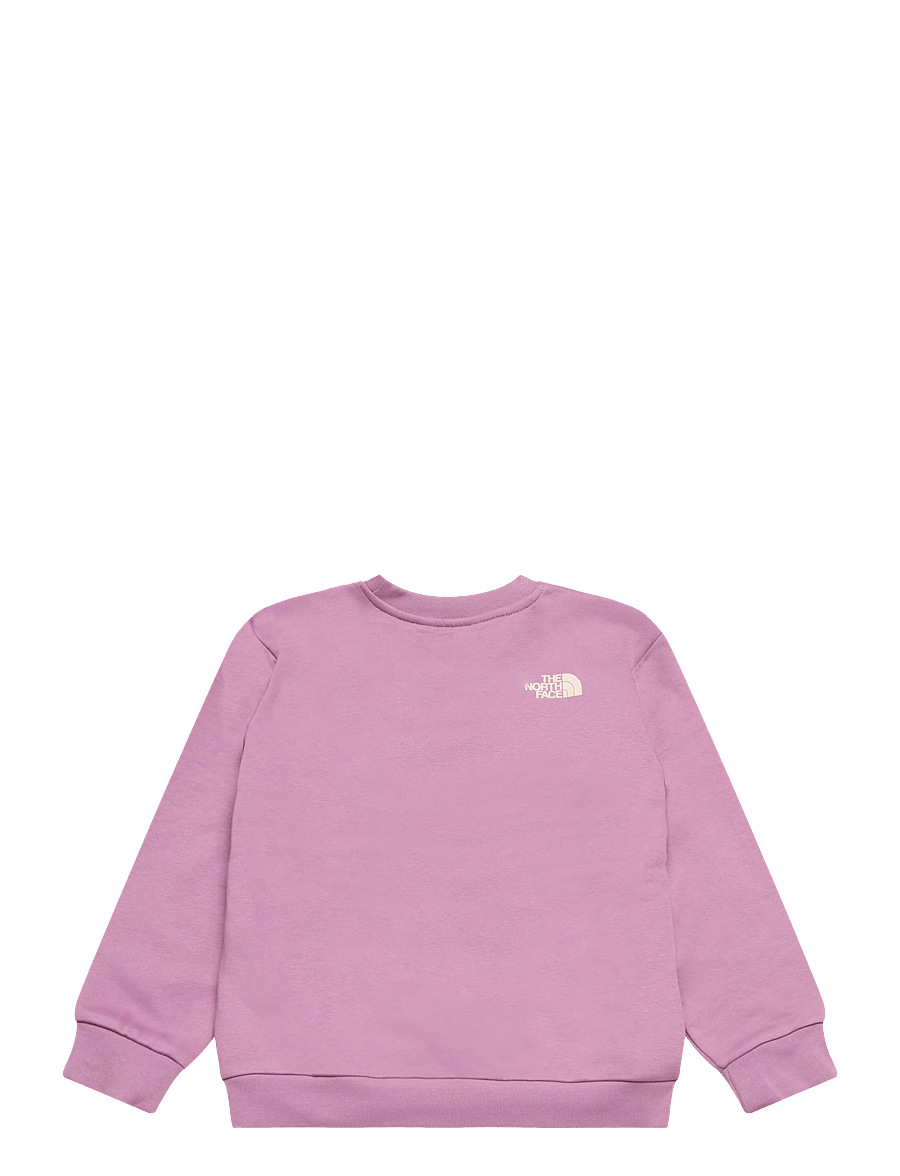 The North Face - TEEN G CHALBI RELAXED CREW - GRAPHIC - dressipluusid - hushed lavender - 2