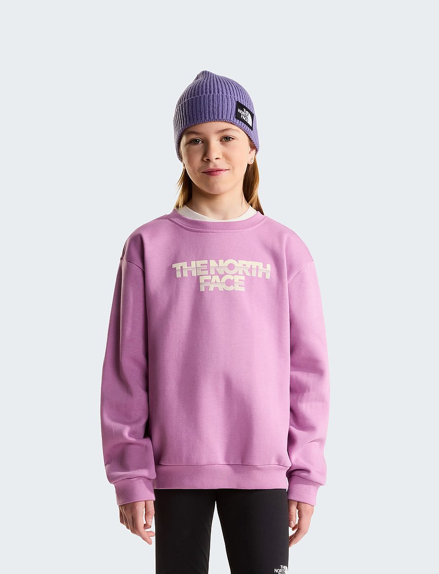 The North Face - TEEN G CHALBI RELAXED CREW - GRAPHIC - dressipluusid - hushed lavender - 0