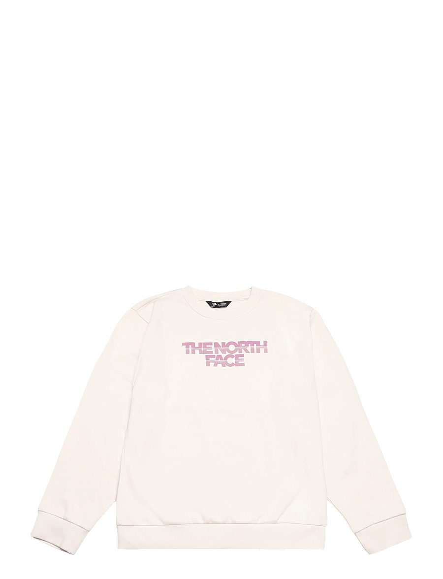 The North Face - TEEN G CHALBI RELAXED CREW - GRAPHIC - sweatshirts - white dune - 1