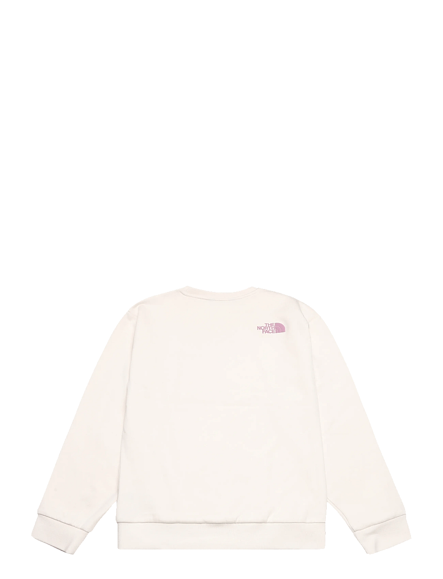 The North Face - TEEN G CHALBI RELAXED CREW - GRAPHIC - sweatshirts - white dune - 2
