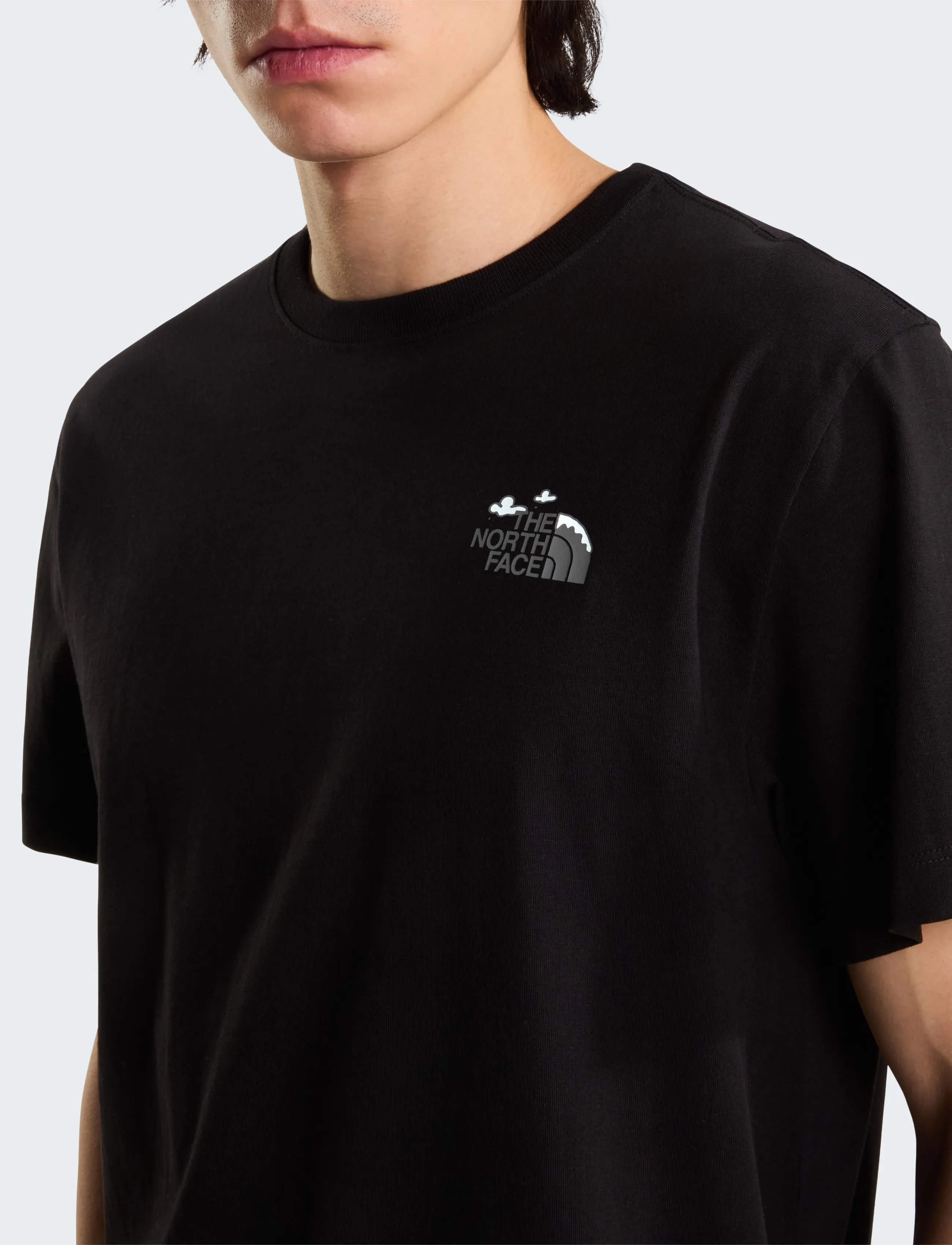 THE NORTH FACE T-shirt 'NAT HIGH SOCIETY' grå / svart herr – bild 6
