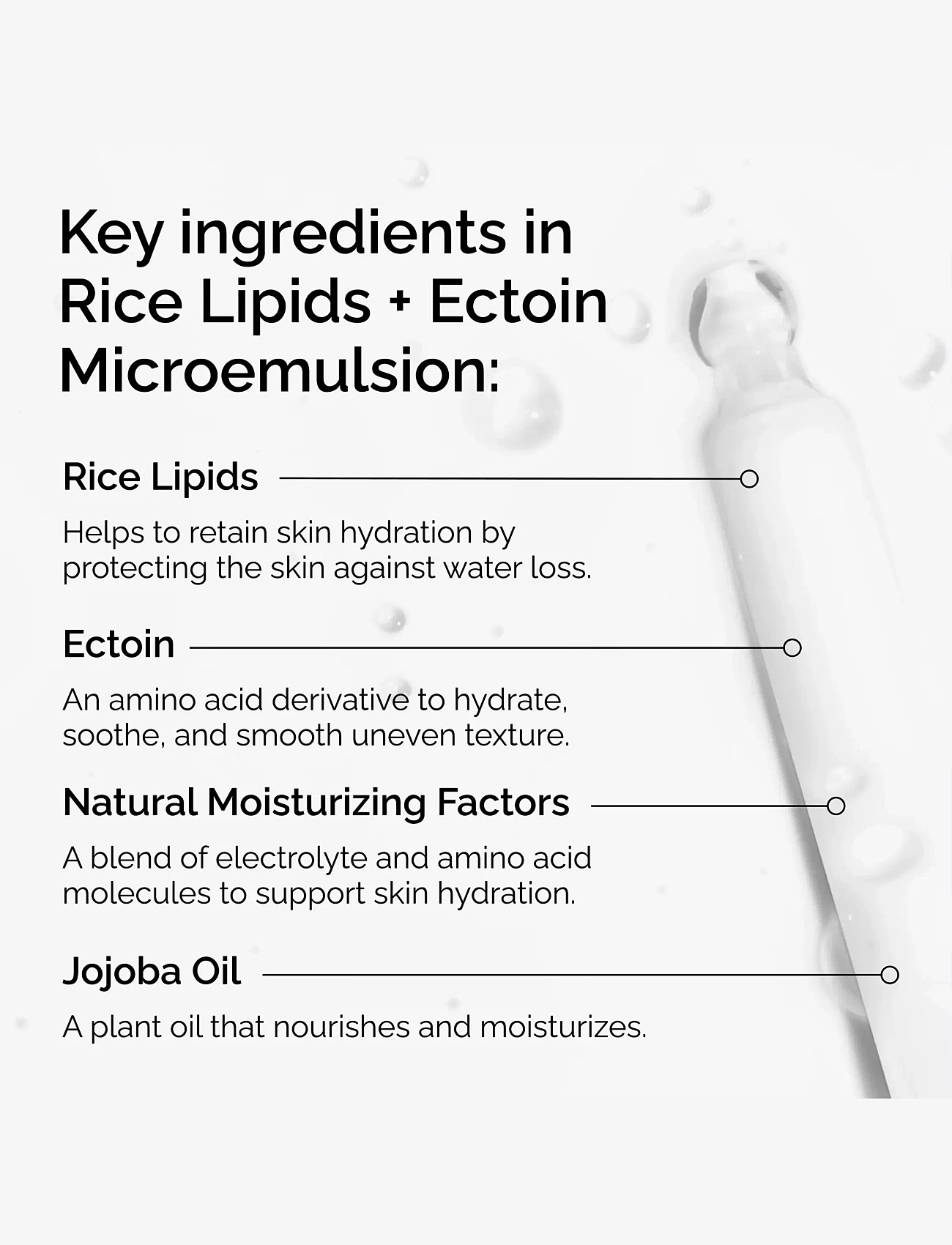 The Ordinary - Rice Lipids + Ectoin Microemulsion - serum & olier - clear - 3