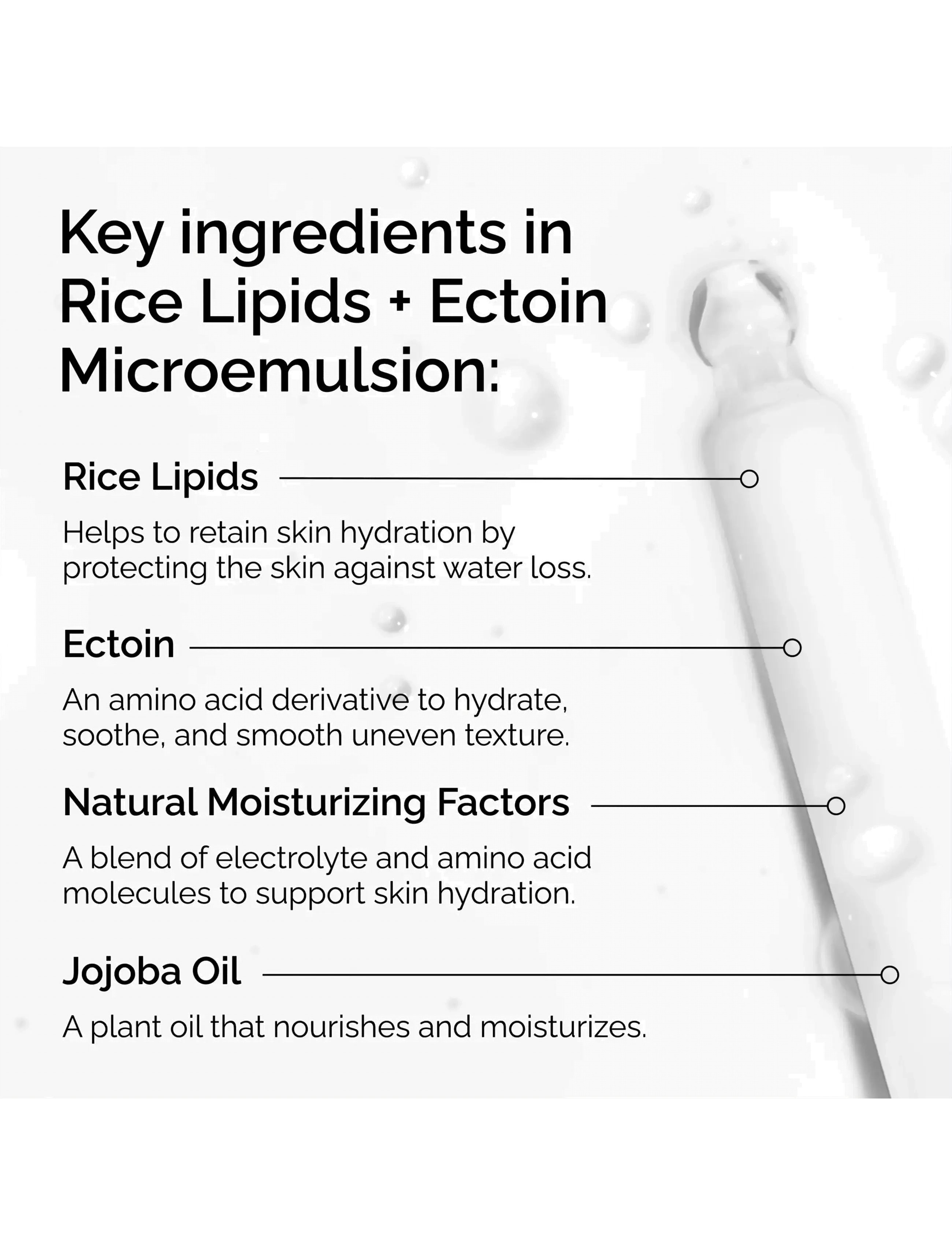 The Ordinary - Rice Lipids + Ectoin Microemulsion - serum & oljor  - clear - 3