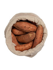 The Organic Company - Food Bag - Large - madalaimad hinnad - 202 stone - 3