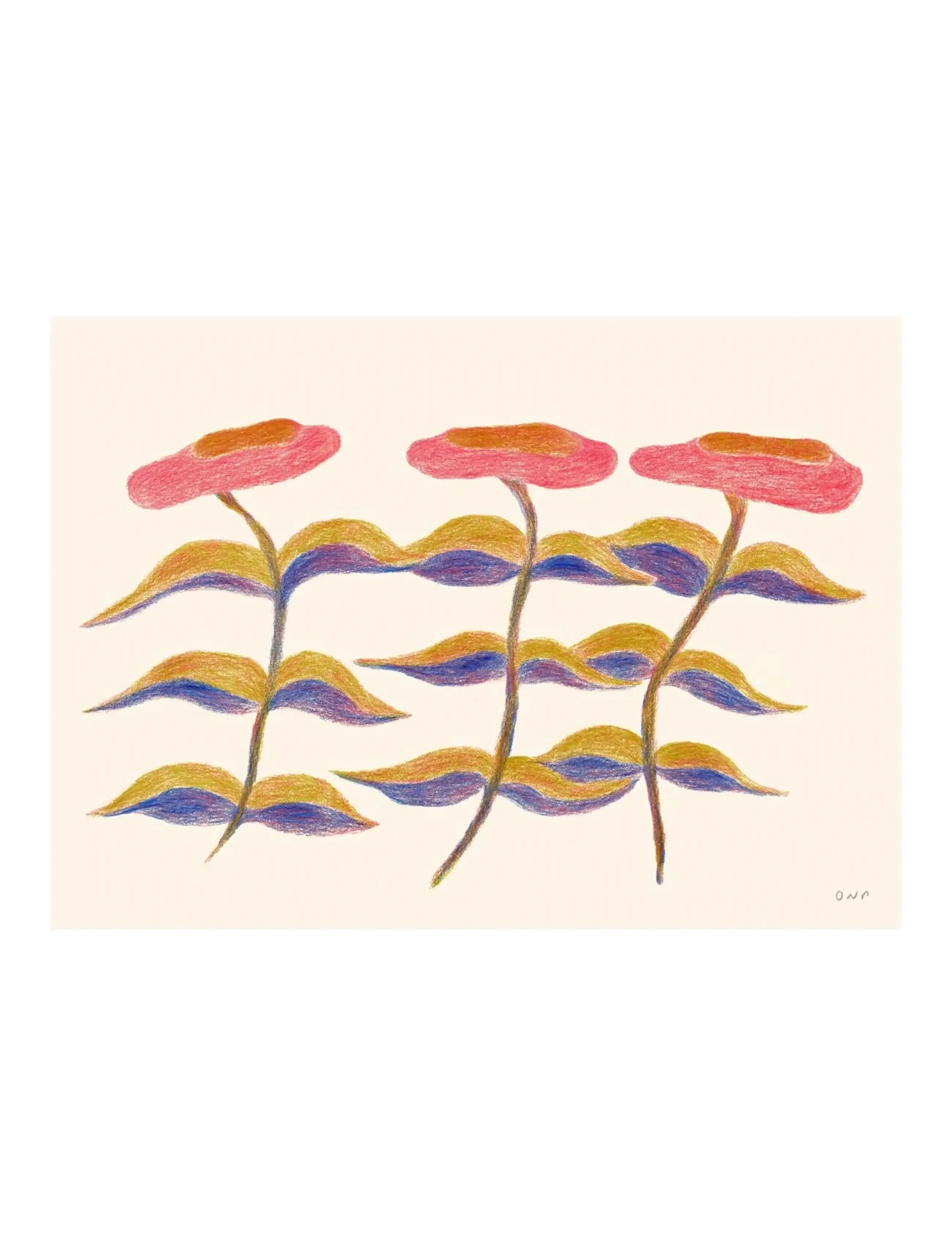 The Poster Club X Ojuna Njama Petersen Three Flowers, Botanical, Pink, Str: 50X 70CM