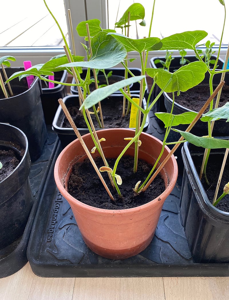 tica copenhagen - Shoe and boot tray rubber - osta hinna alusel - footwear design - 5