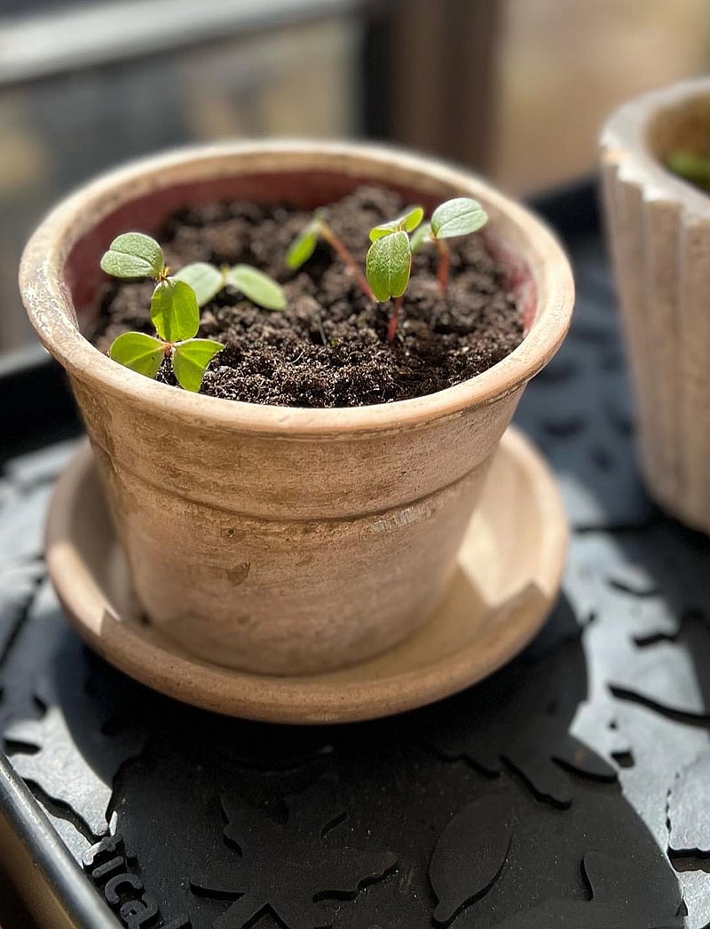 tica copenhagen - Shoe and boot tray rubber - osta hinna alusel - dot design - 4