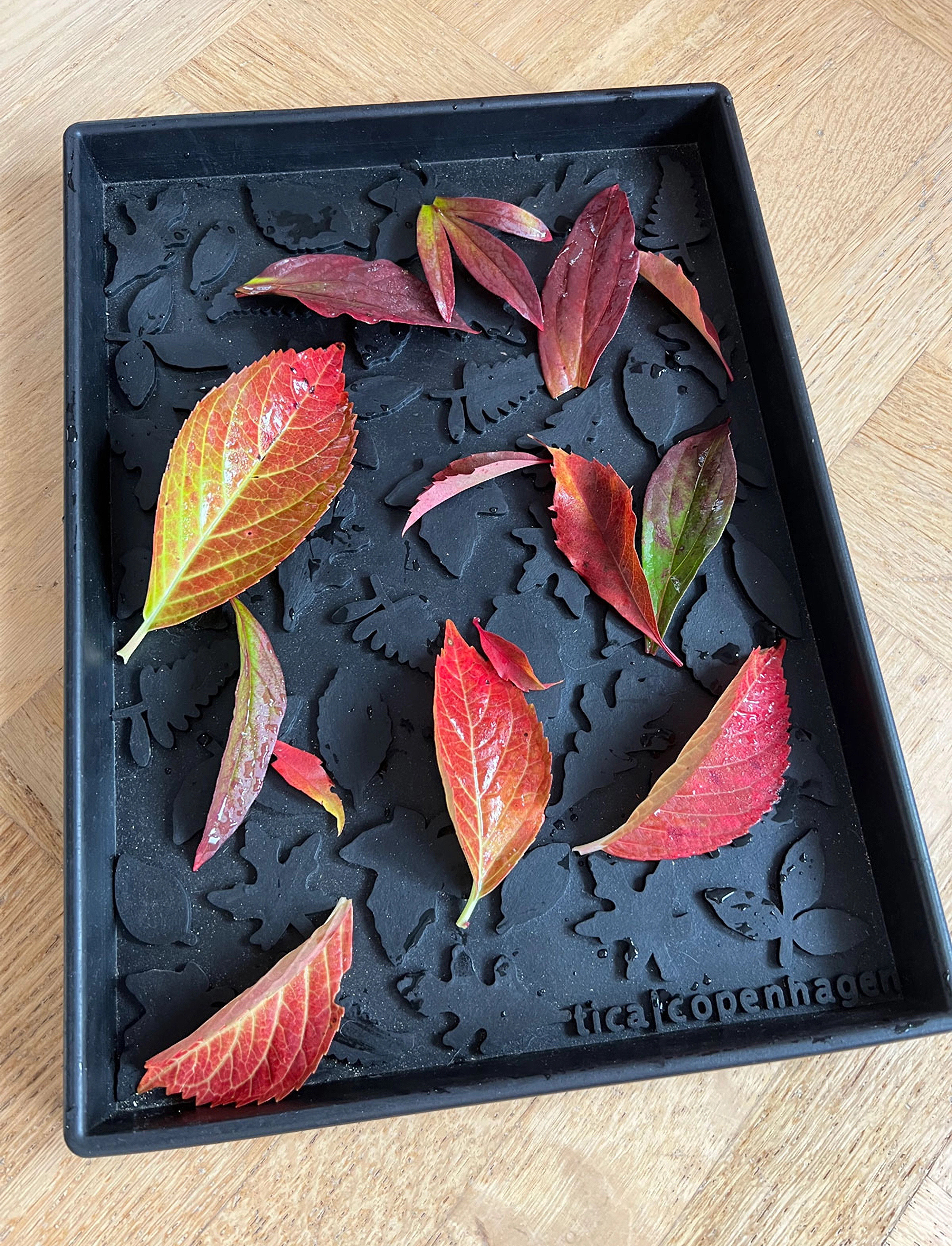 tica copenhagen - Shoe and boot tray rubber - skoreoler & skobakker - leaves design - 4