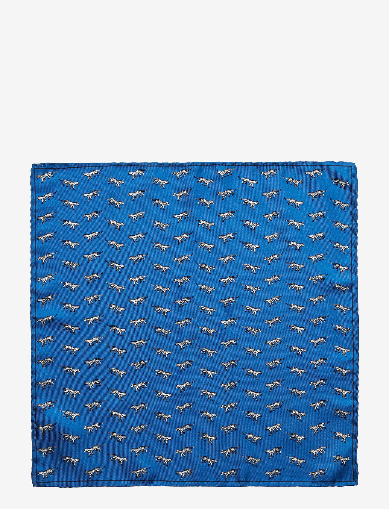 Tiger of Sweden - PLEX - clear blue - 1