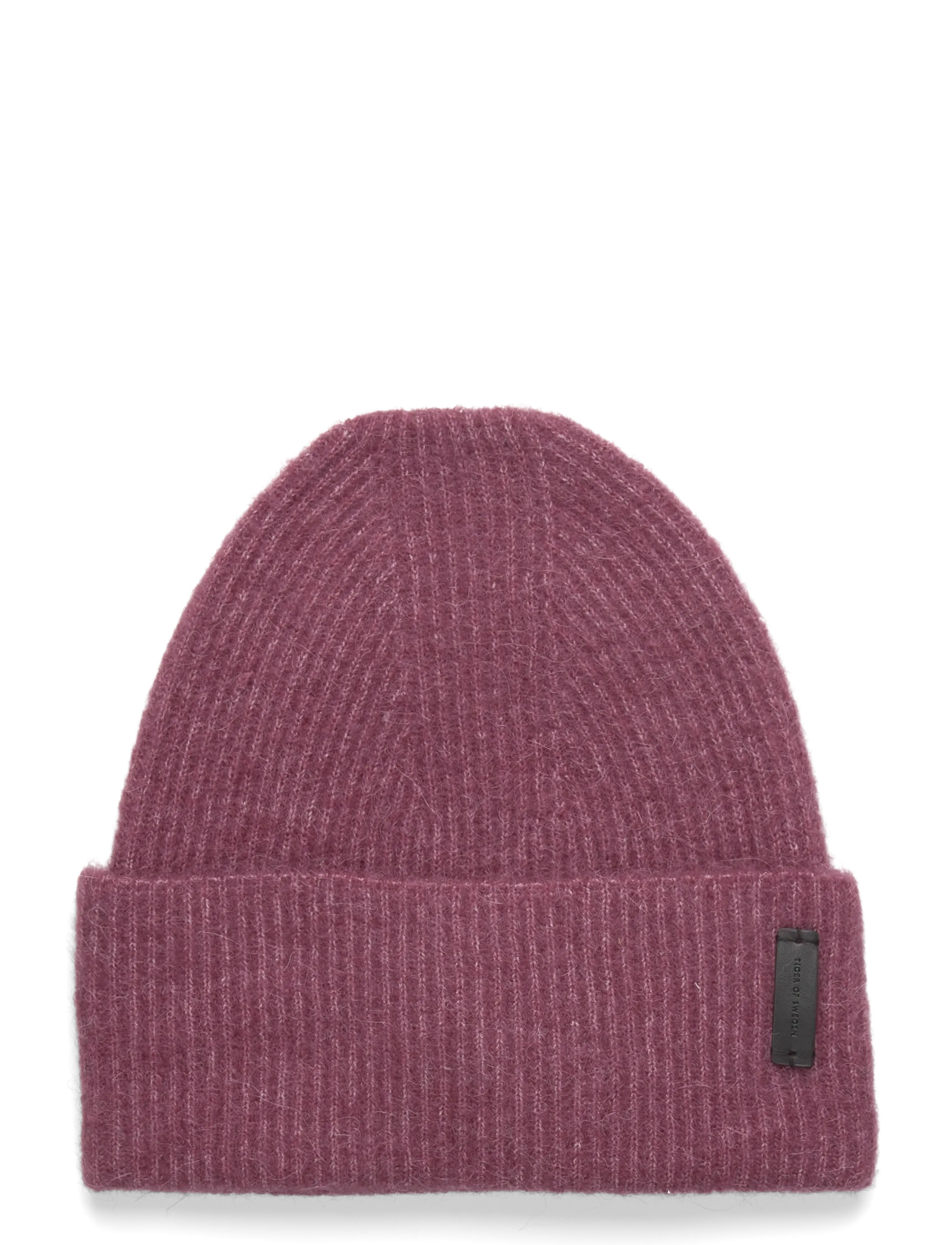 ERINNA. - TULIP PURPLE