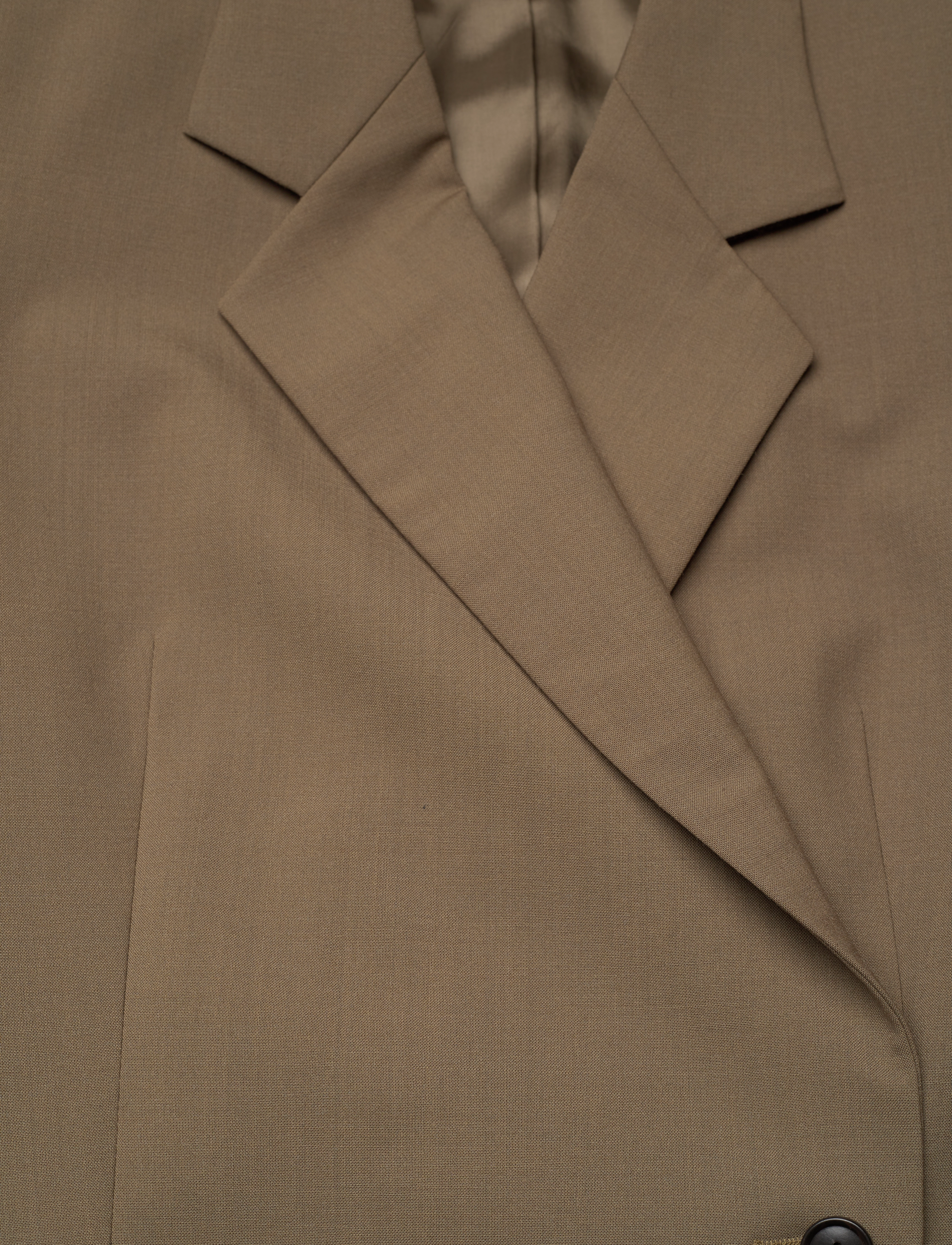 Tiger of Sweden - ELIWIRAA - single breasted blazers - october sage - 2