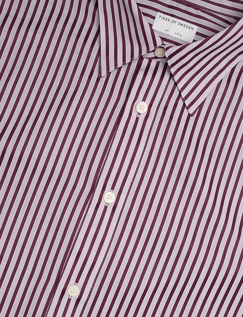 Tiger of Sweden - Bennett - raidalliset kauluspaidat - gamay - 3