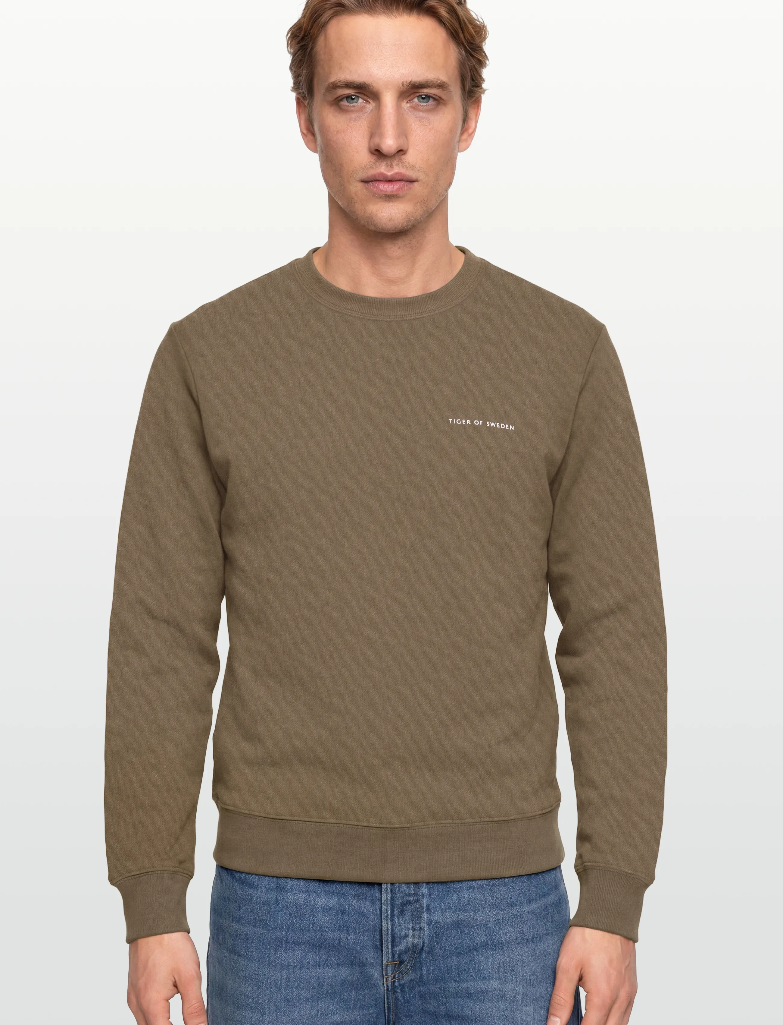 Tiger of Sweden - EMERSON - shop by occasion - october sage - 3