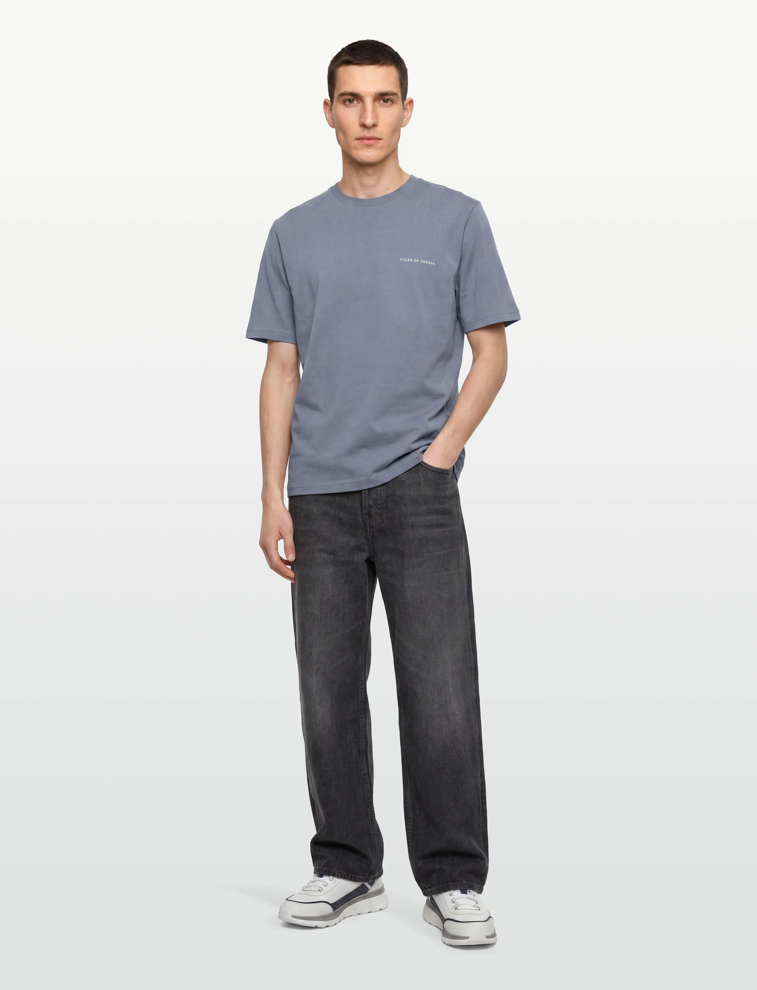 Tiger of Sweden Pro, L, T-shirts, Blau - Short-sleeved, Männerswear