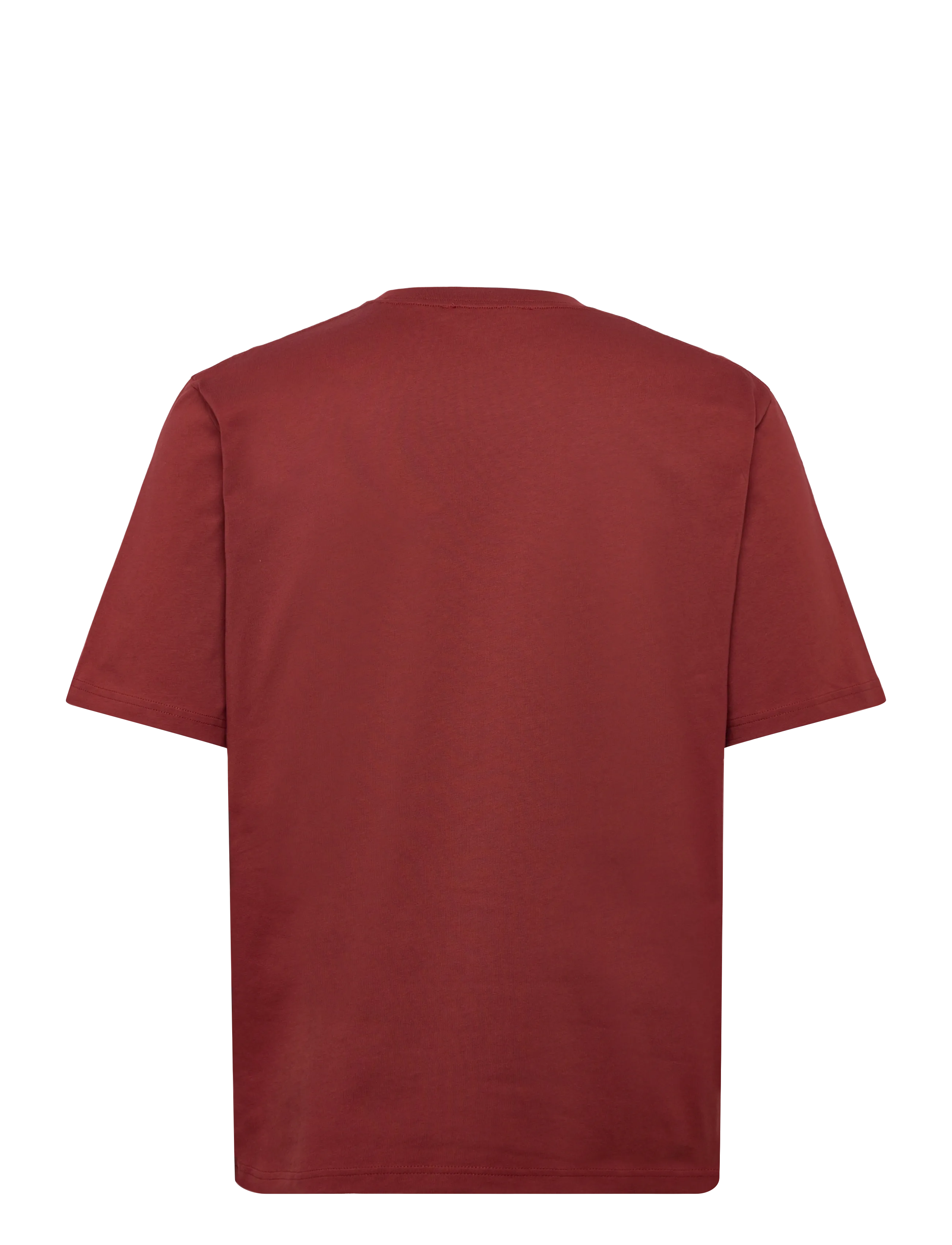 Tiger of Sweden - PRO - kortärmade t-shirts - moroccan clay - 1