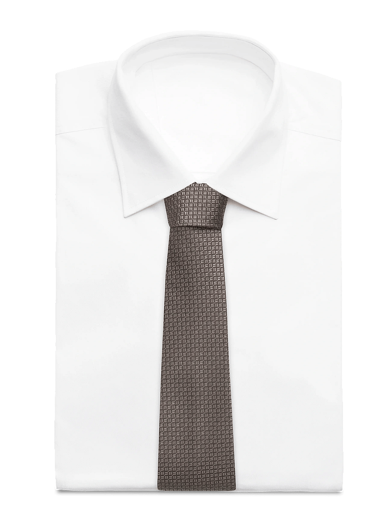 Tiger of Sweden - SEPTA - ties - potato - 1