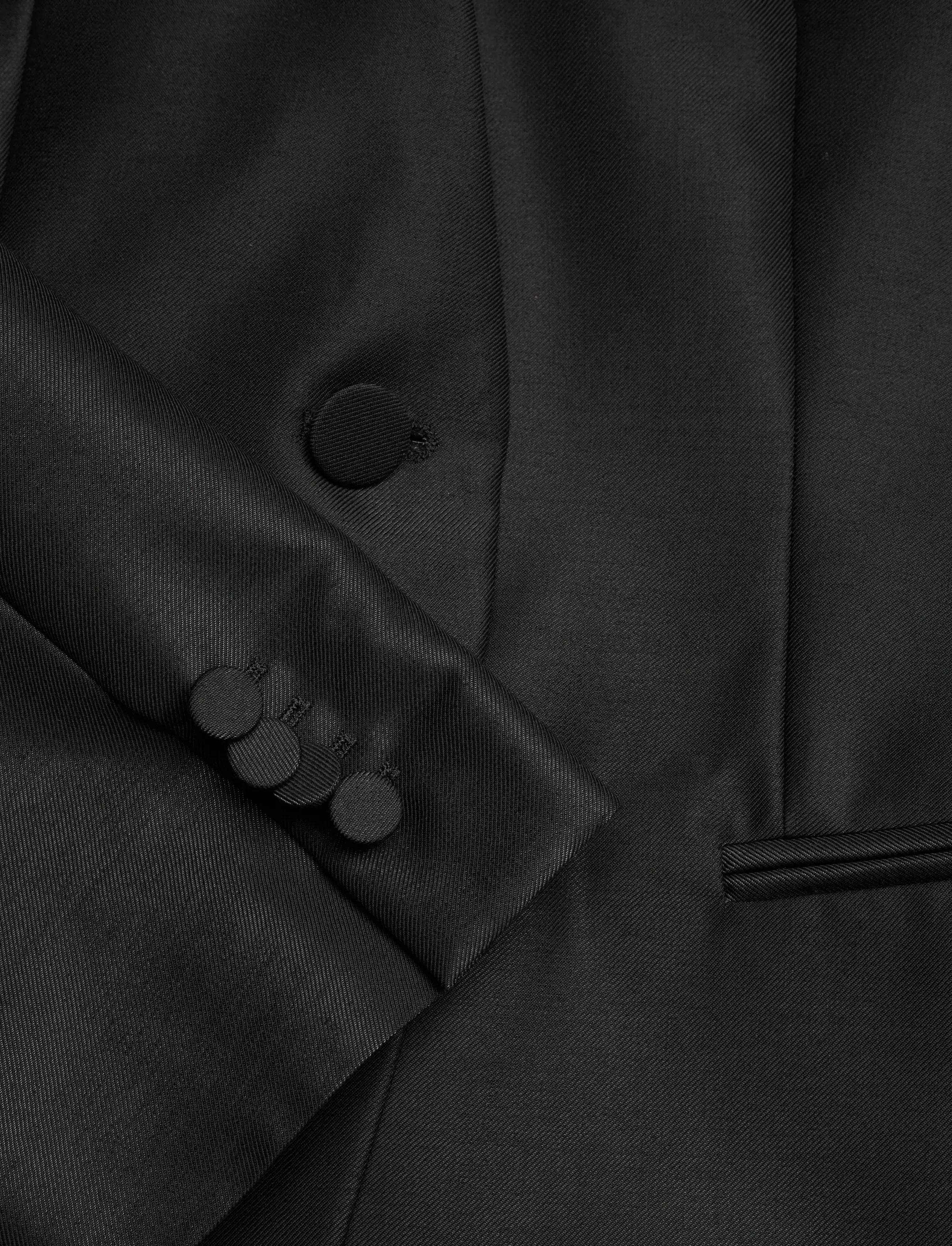 Tiger of Sweden - JONI - einreihige blazer - black - 3