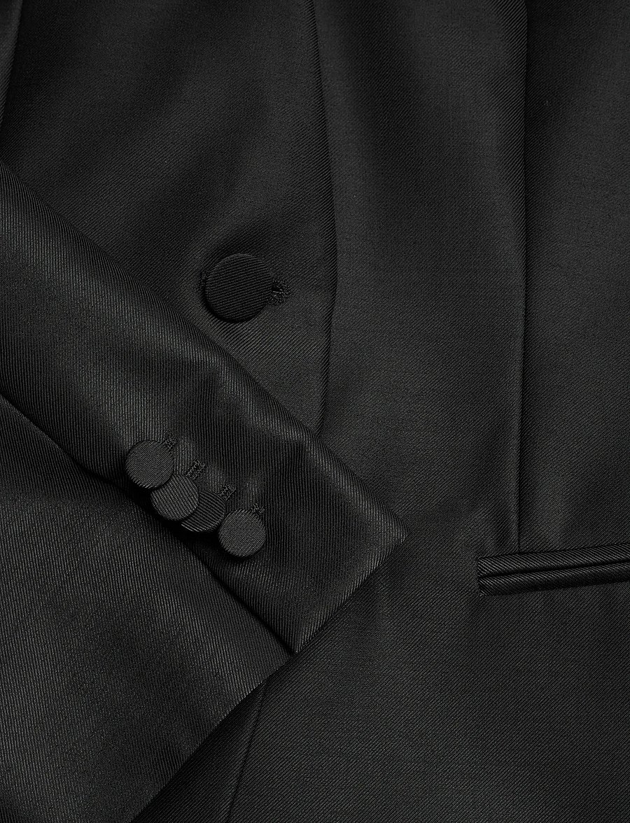 Tiger of Sweden - JONI - einreihige blazer - black - 3