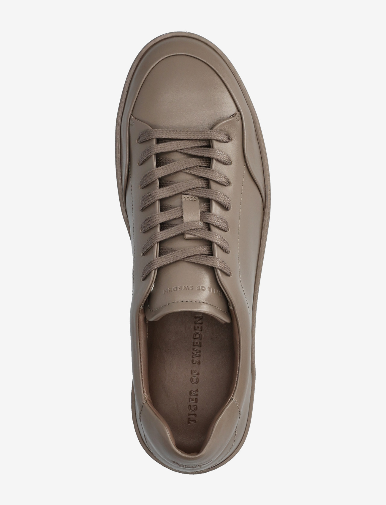 Tiger of Sweden - SINNY - low tops - auburn glaze - 3