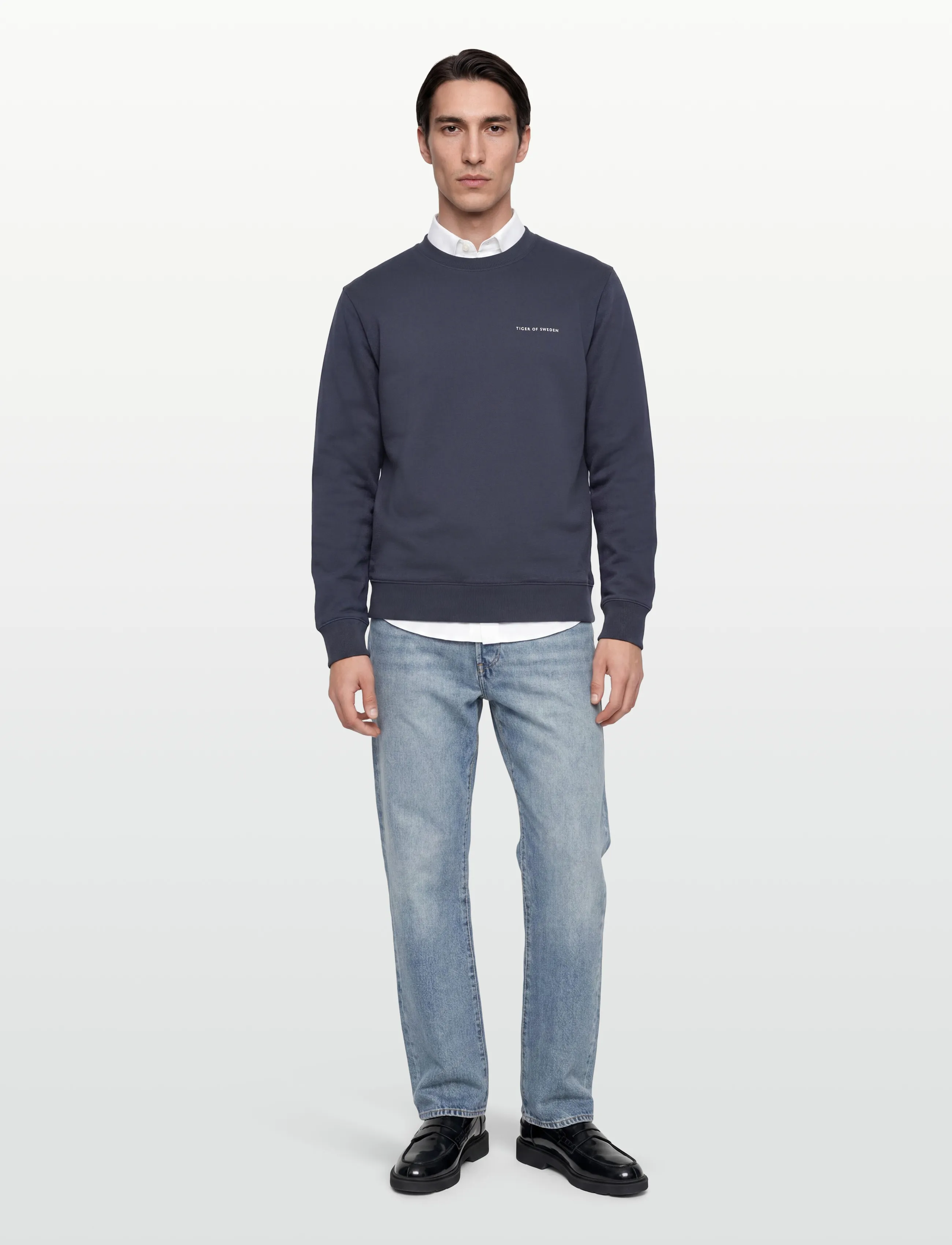 Tiger of Sweden EMERSON - Sweatshirts - BLUE CLOUD / navy