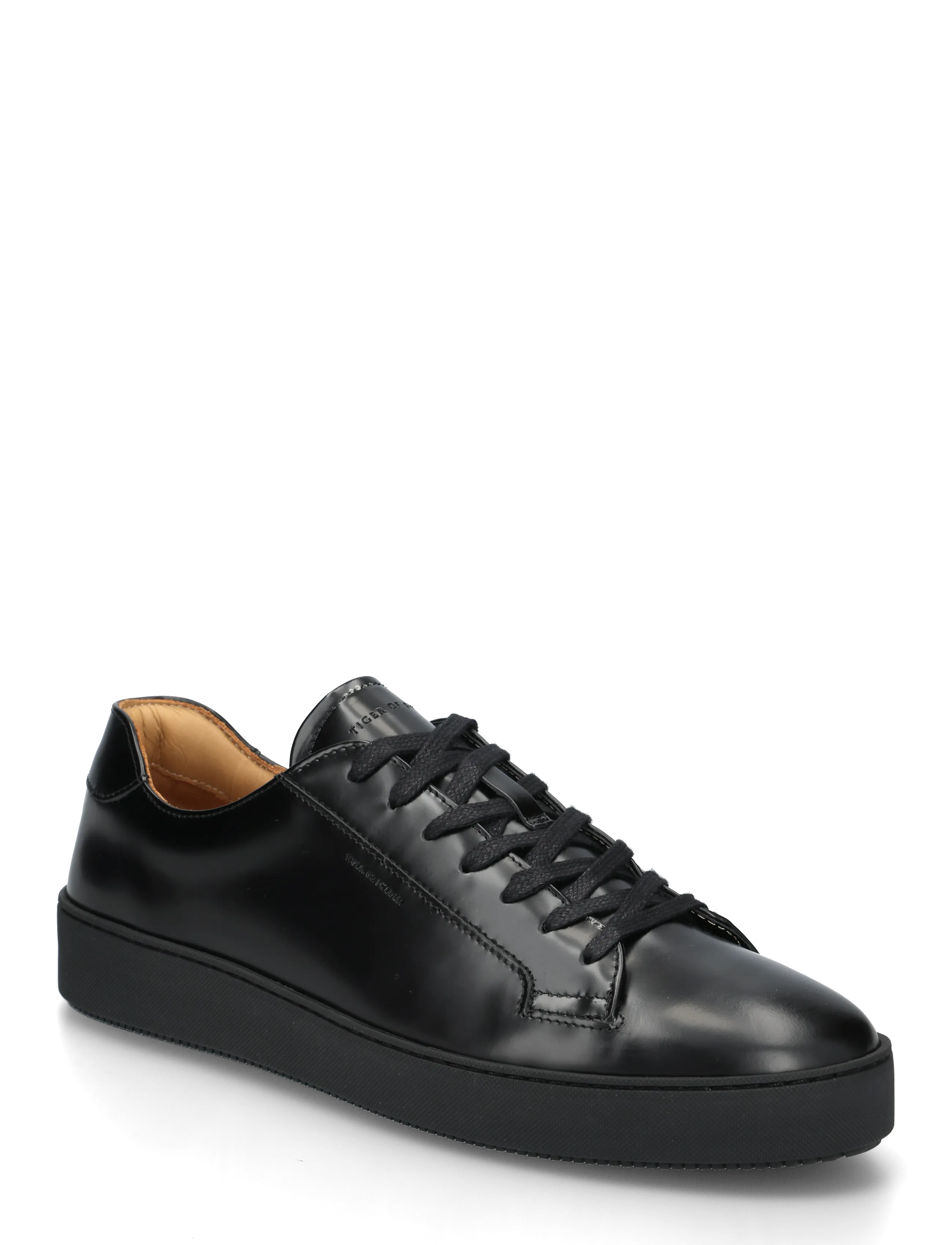 Tiger of Sweden SALAS 2 - Skor - BLACK / black