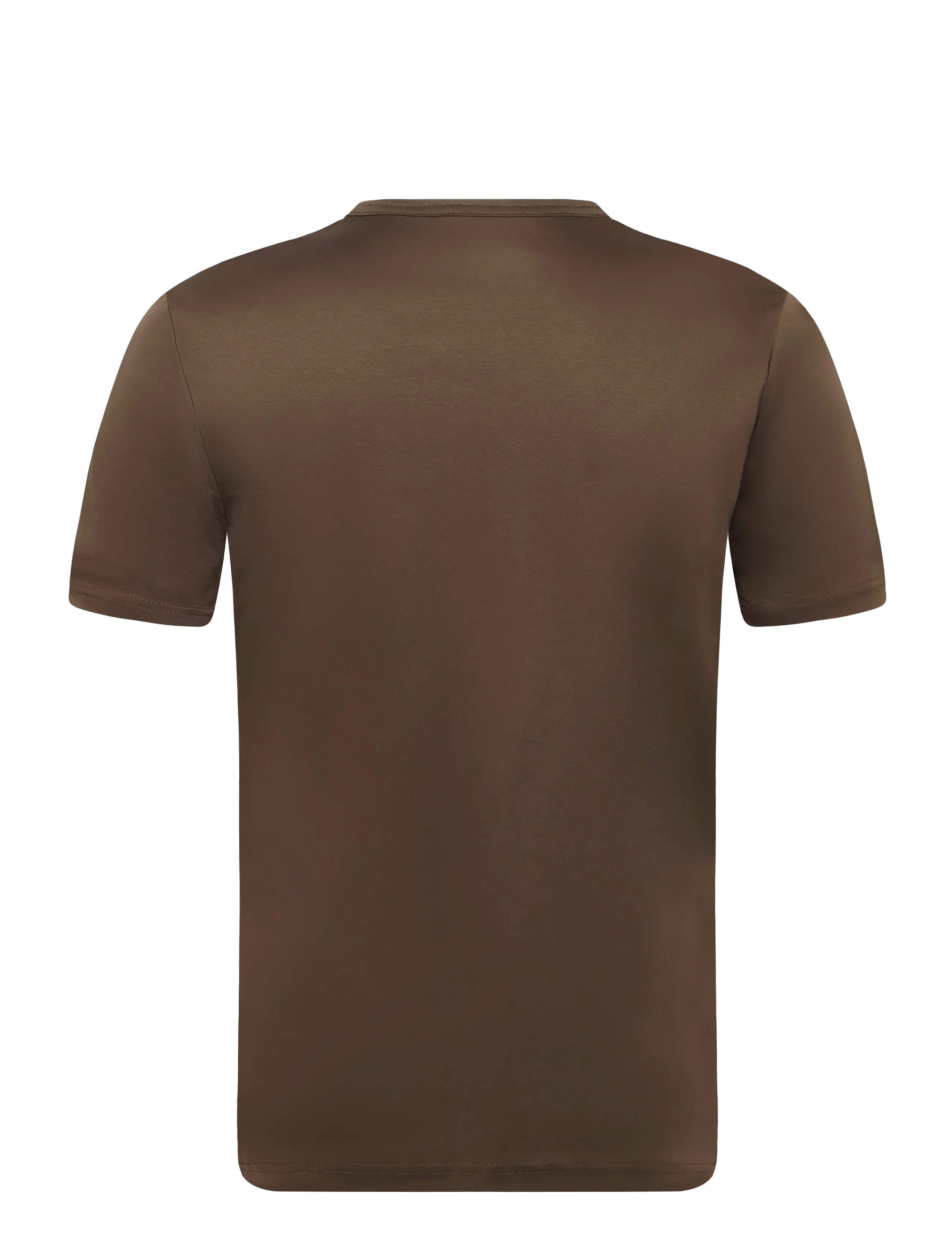 Tiger of Sweden - OLAF - kurzärmelige t-shirts - aged timber - 1
