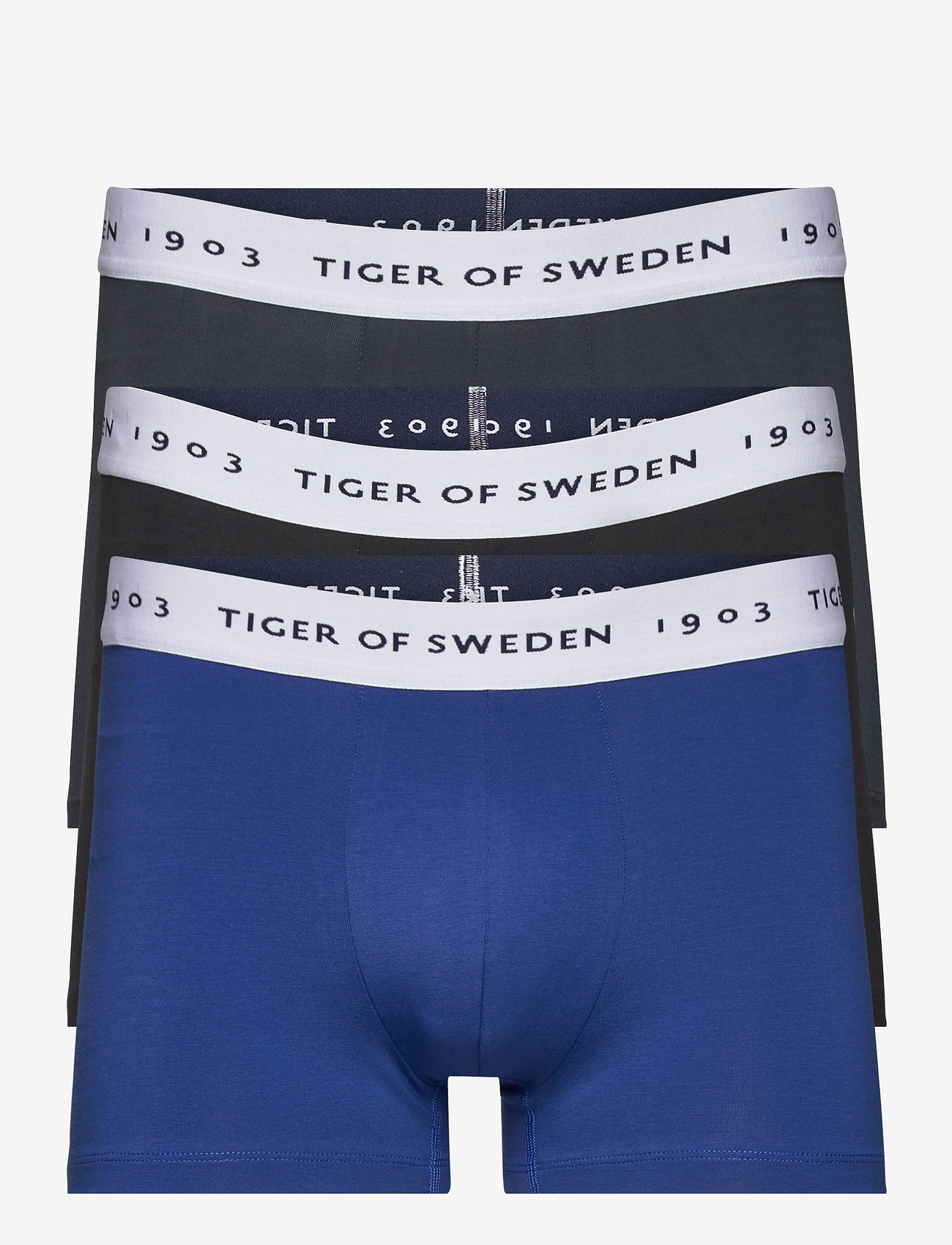 Tiger of Sweden - HERMOD - artwork - 0