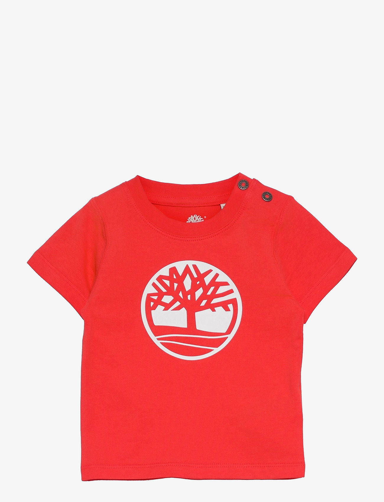 Timberland - SHORT SLEEVES TEE-SHIRT - orange - 0