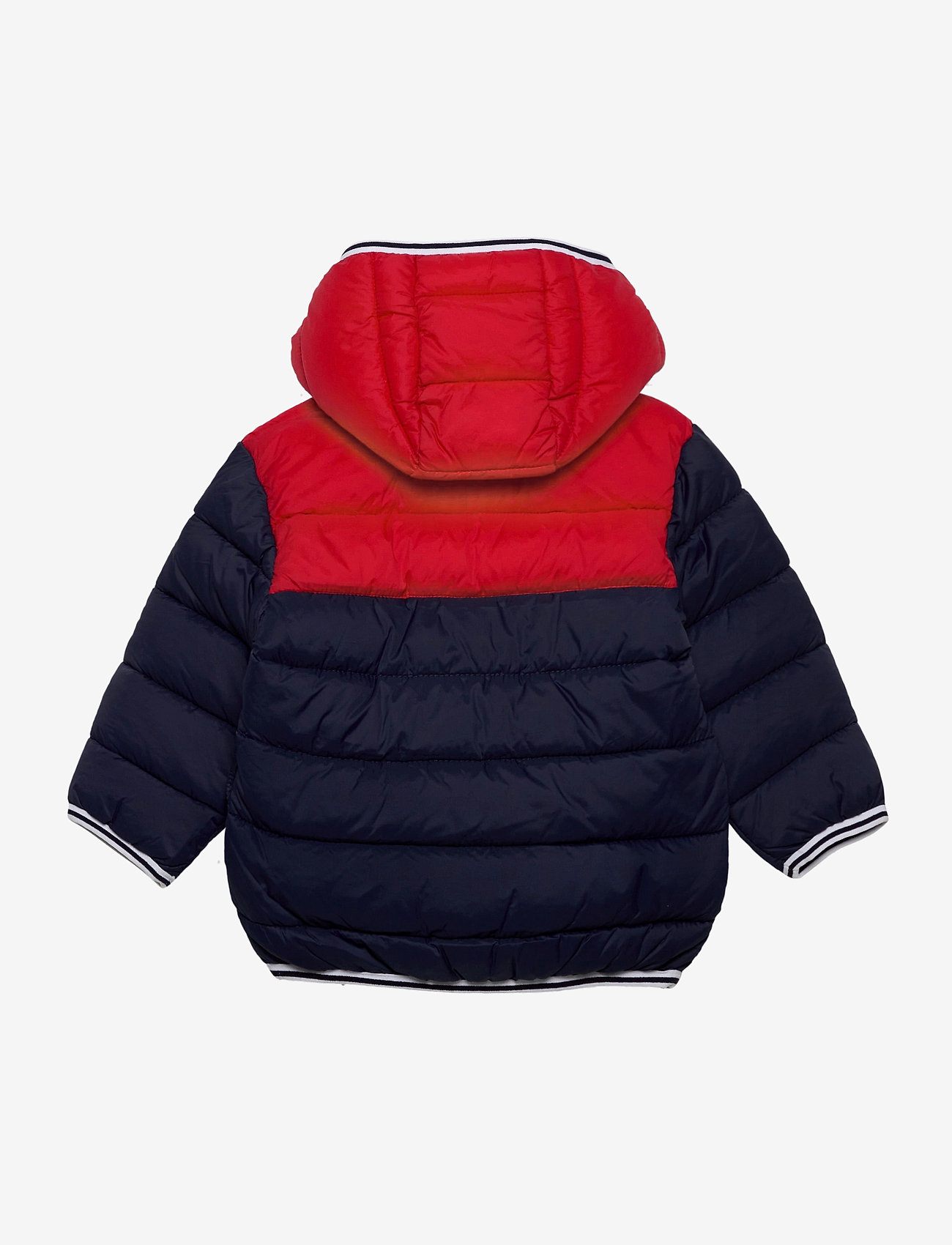 Timberland - PUFFER JACKET - navy - 1