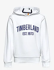 Timberland - SWEATSHIRT - white - 0